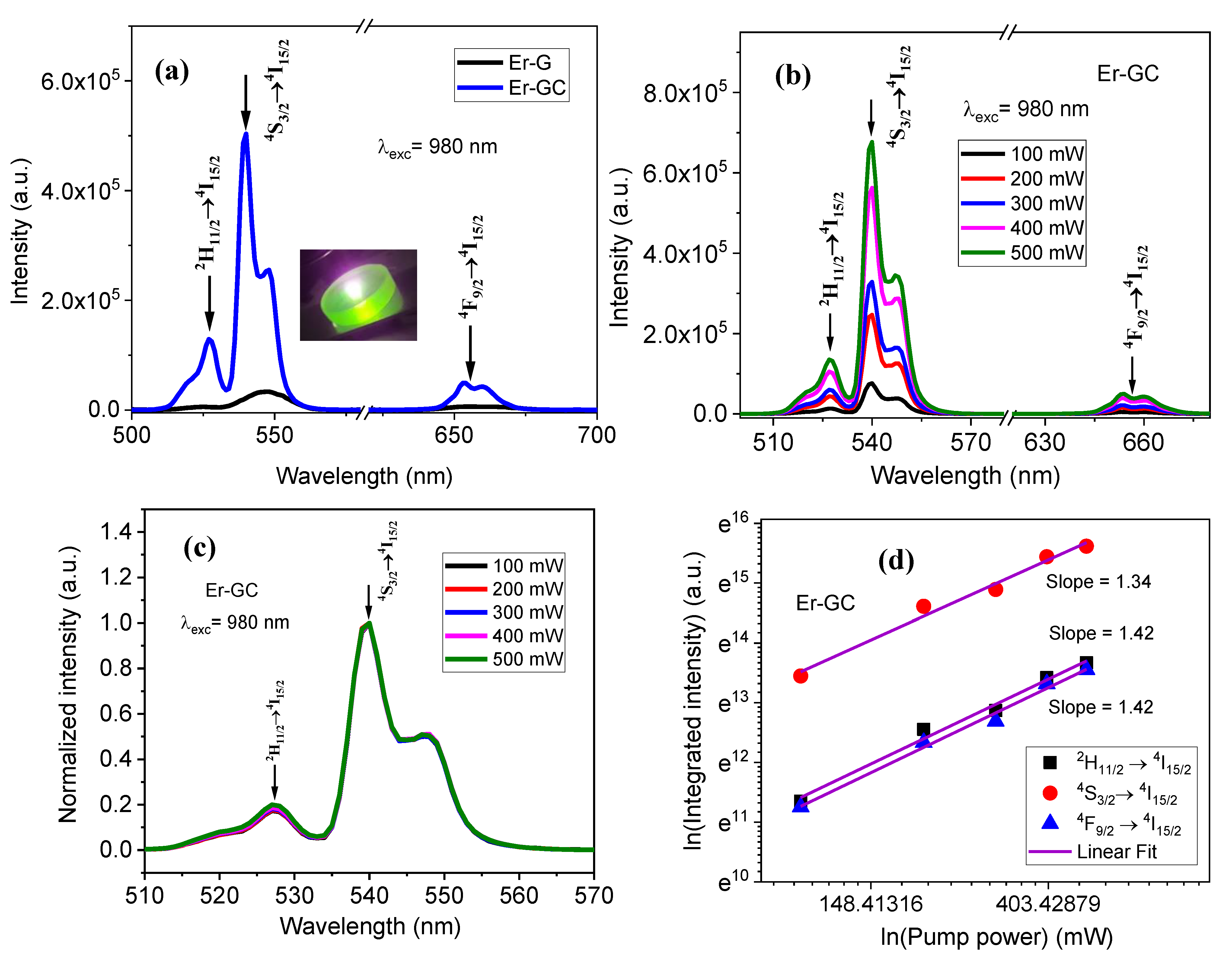 Molecules 26 06901 g008