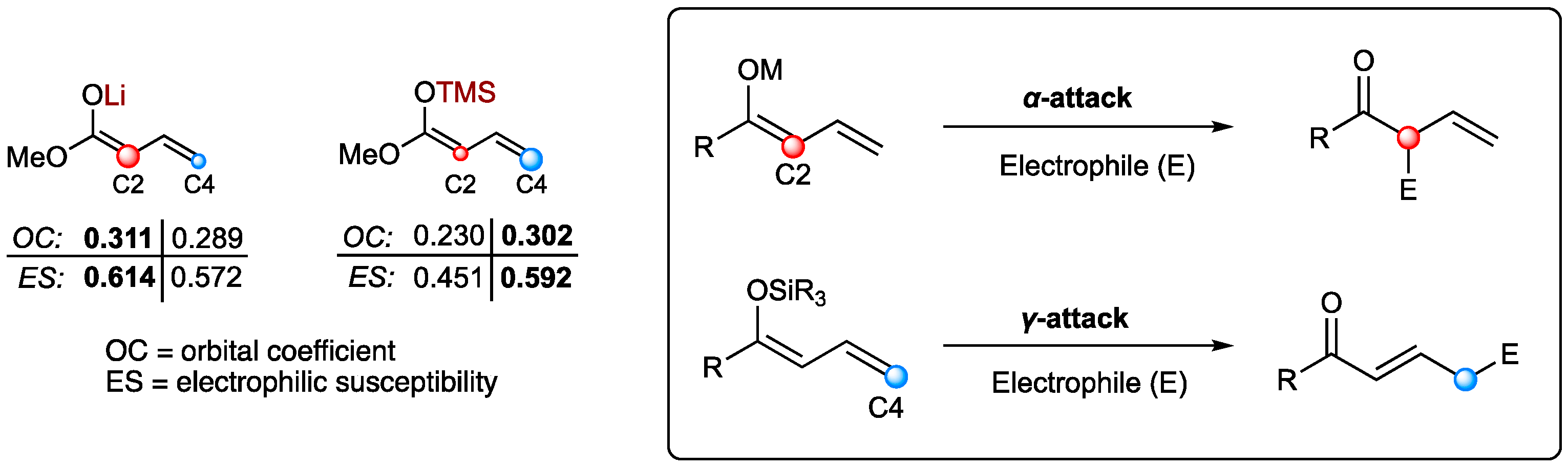 Molecules 26 06902 g001