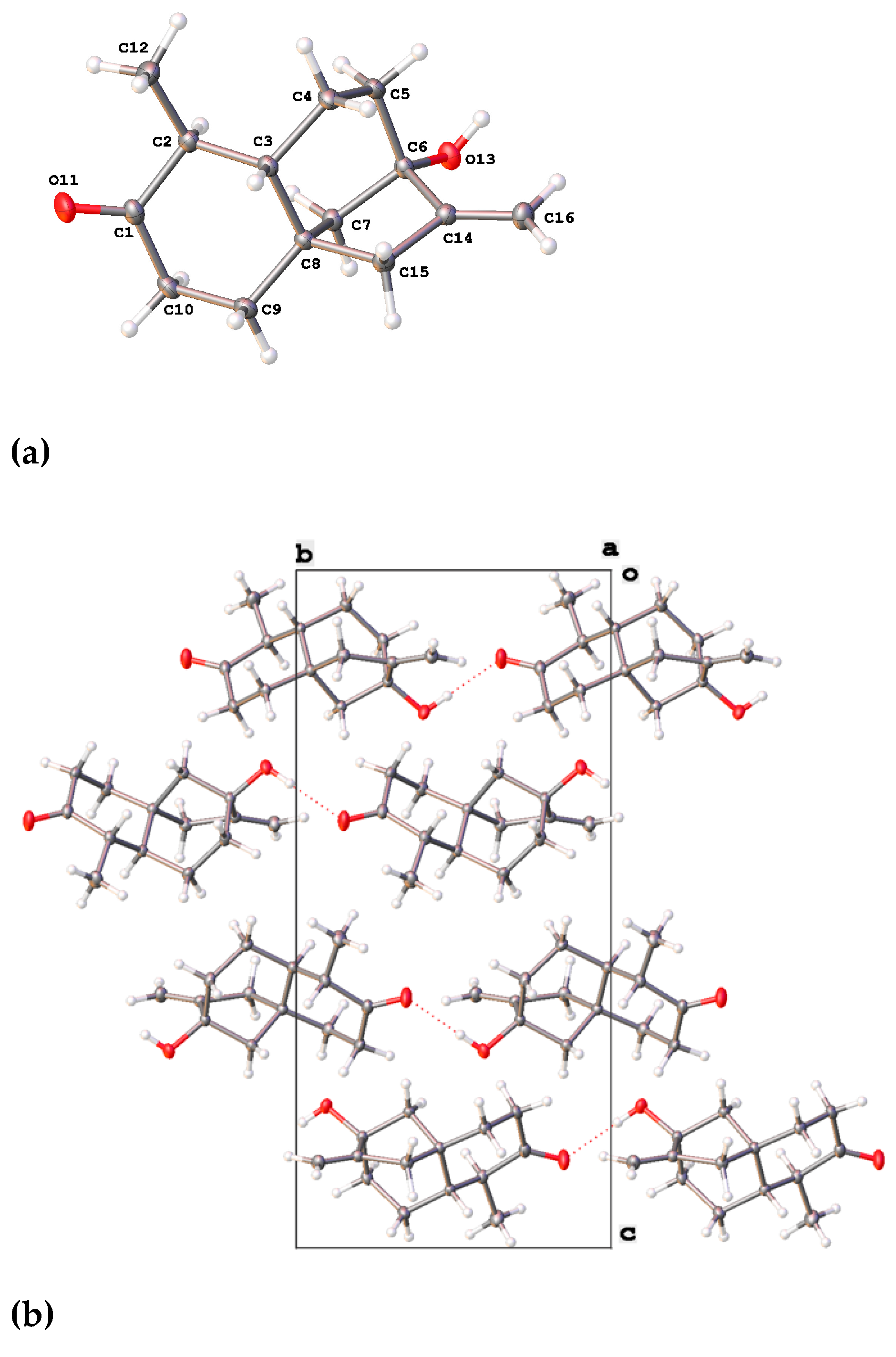 Molecules 26 06916 g002