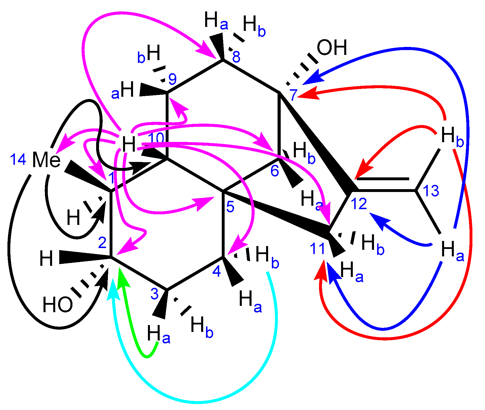 Molecules 26 06916 g005