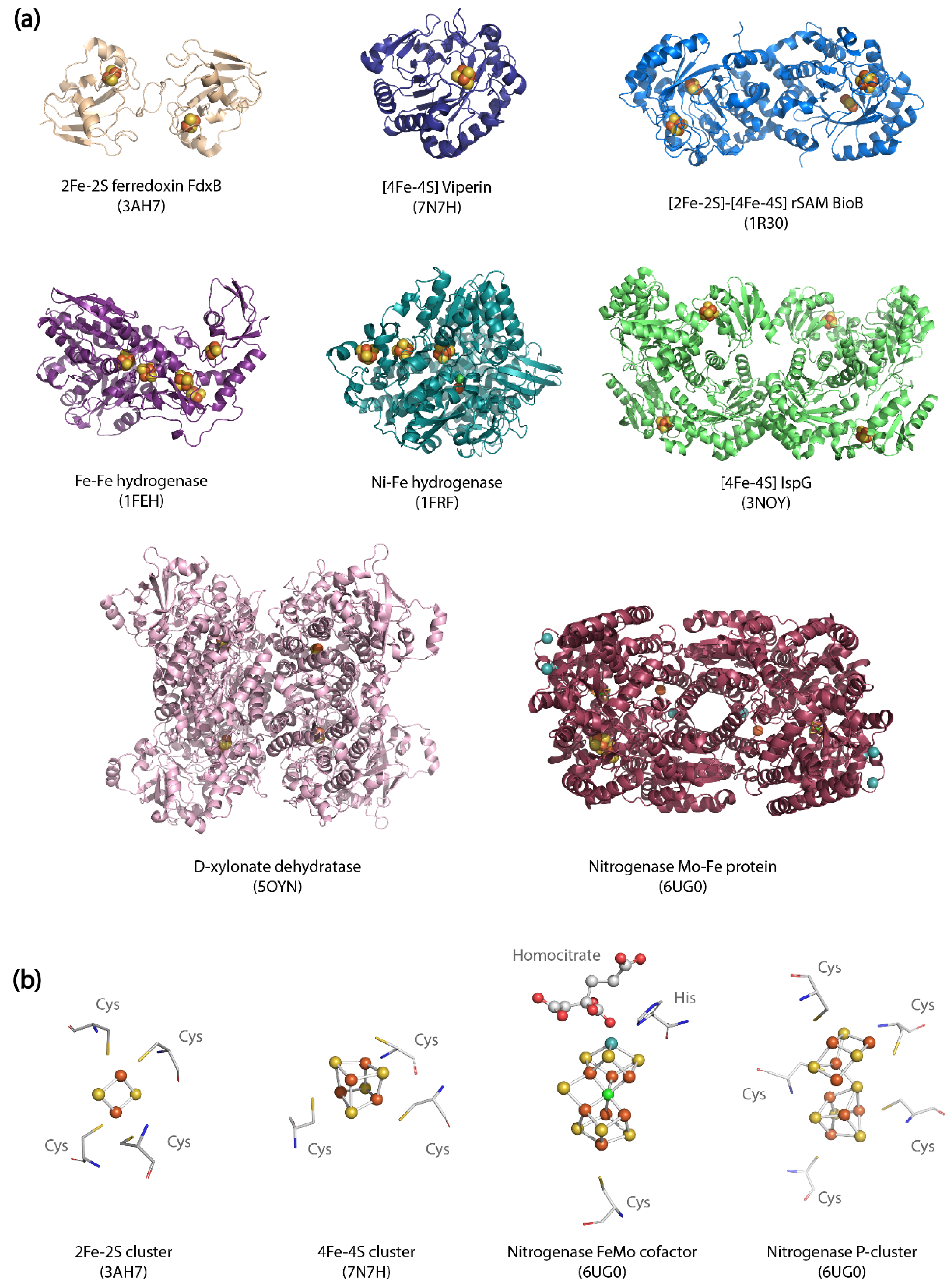 Molecules 26 06930 g001