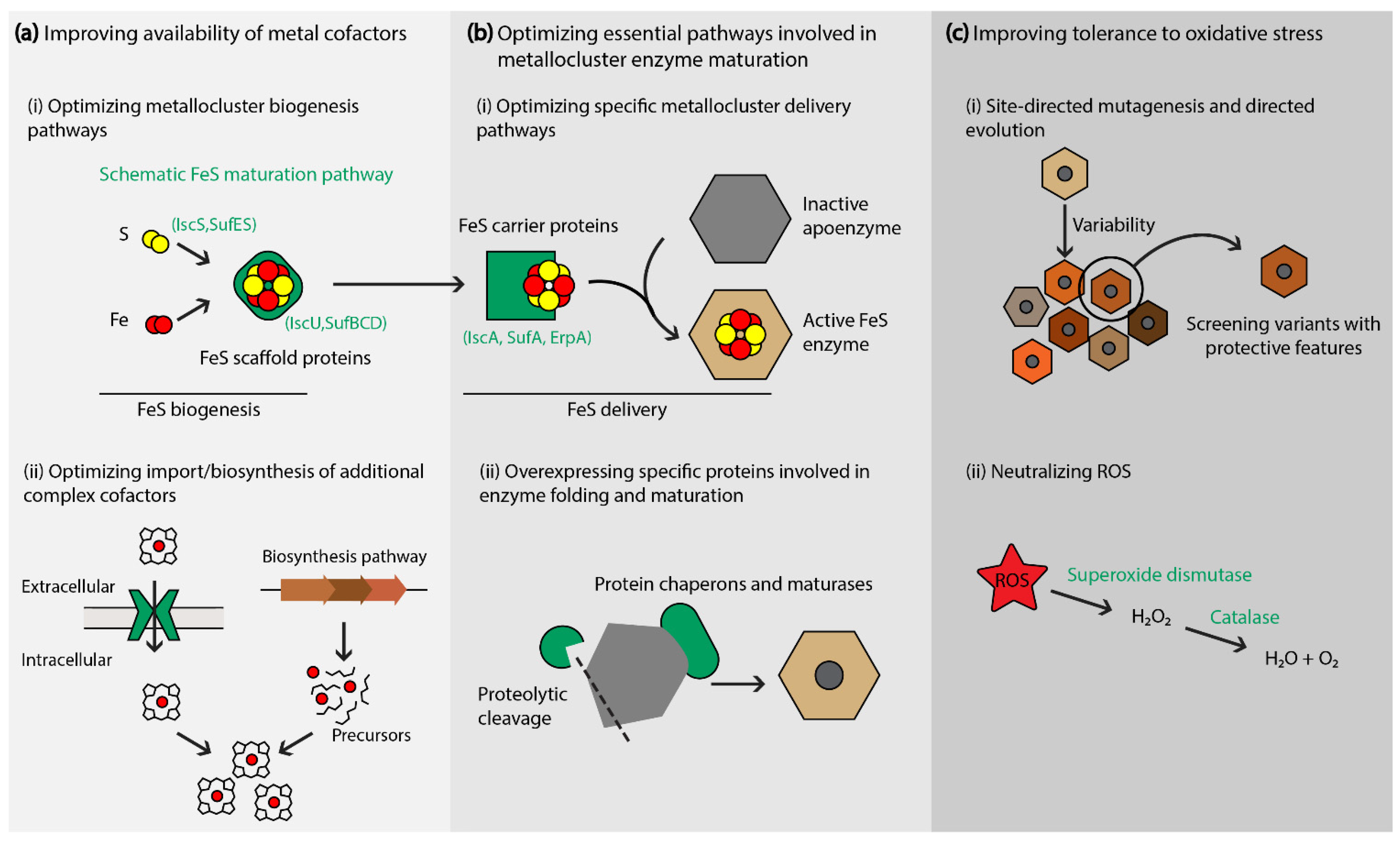 Molecules 26 06930 g002