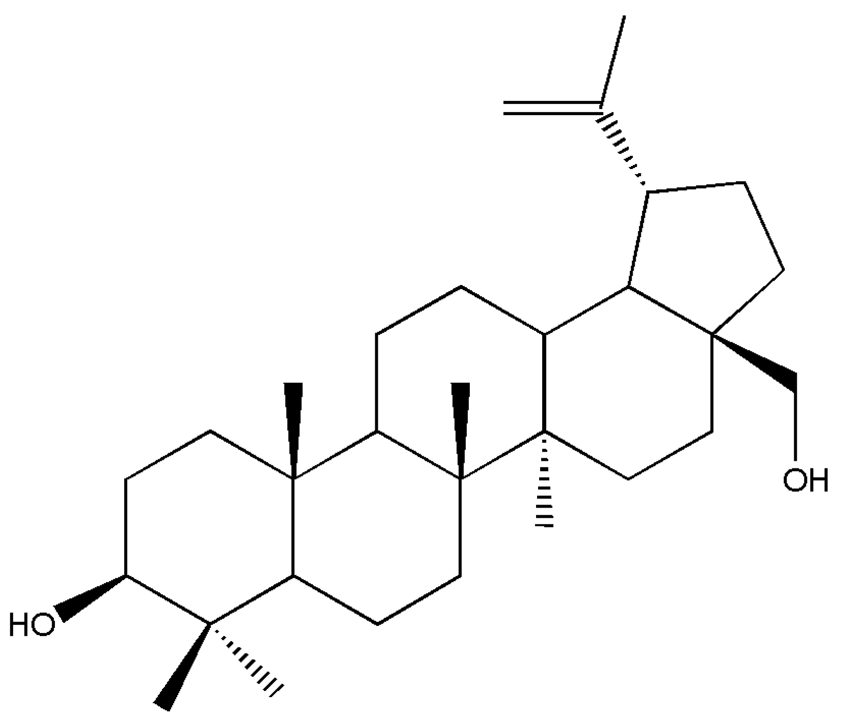 Molecules 26 06937 g004