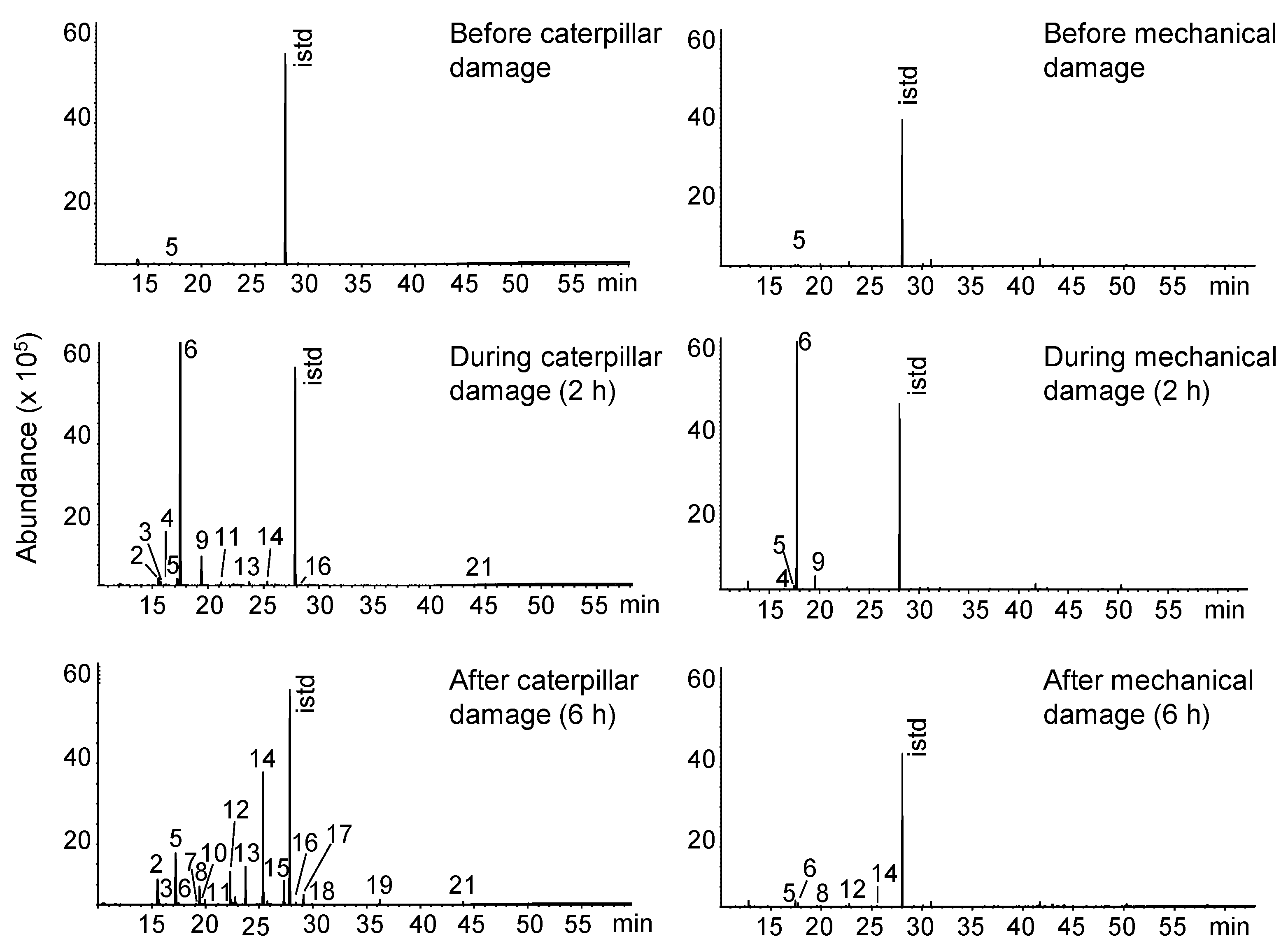 Molecules 26 06941 g003 Molecules 26 06941 g003