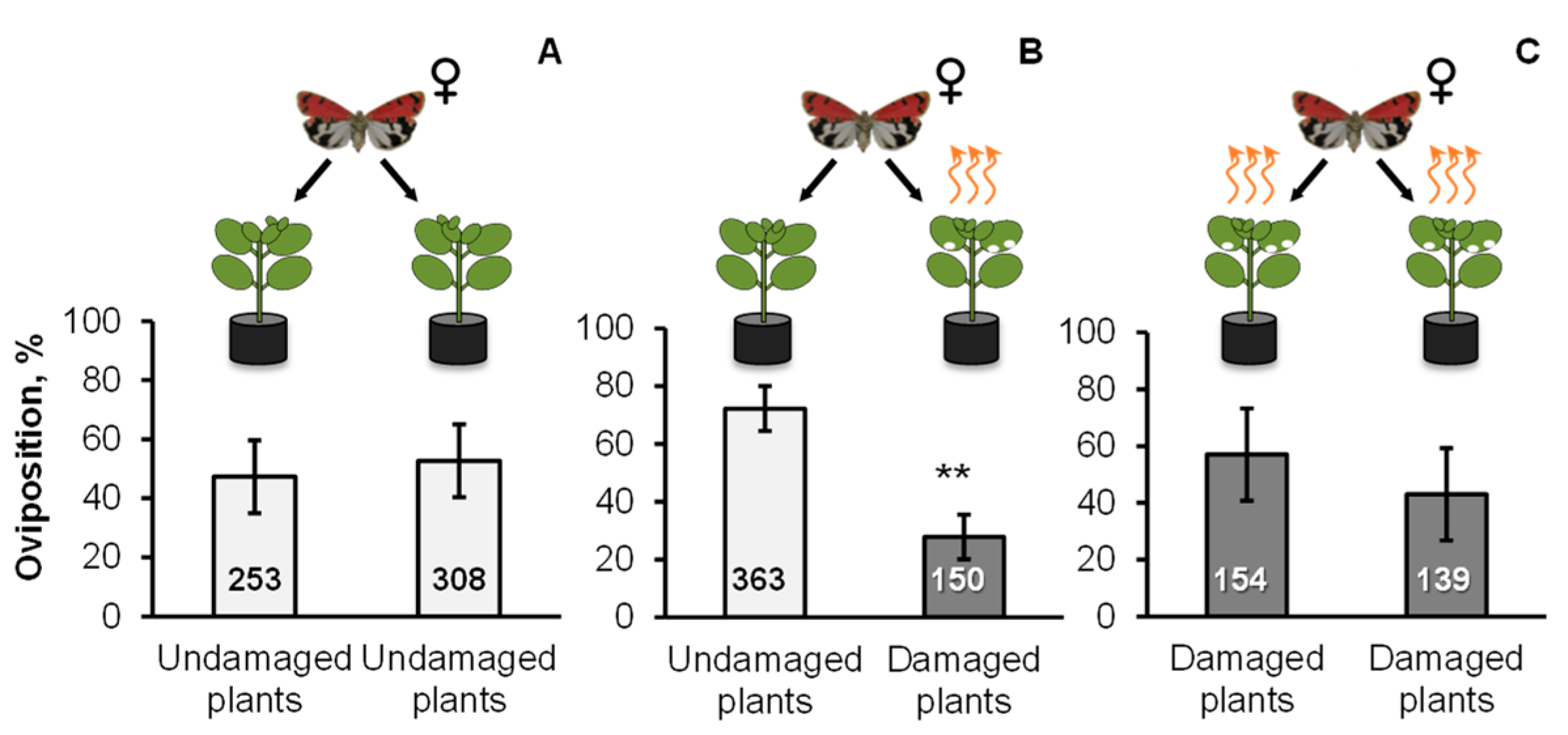 Molecules 26 06941 g004 Molecules 26 06941 g004