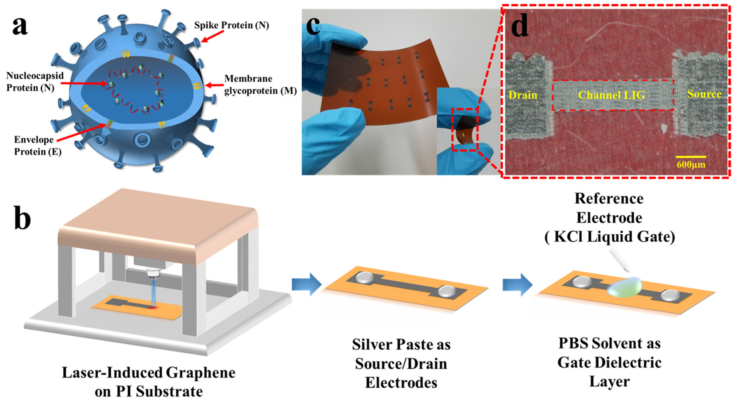 Molecules 26 06947 g001