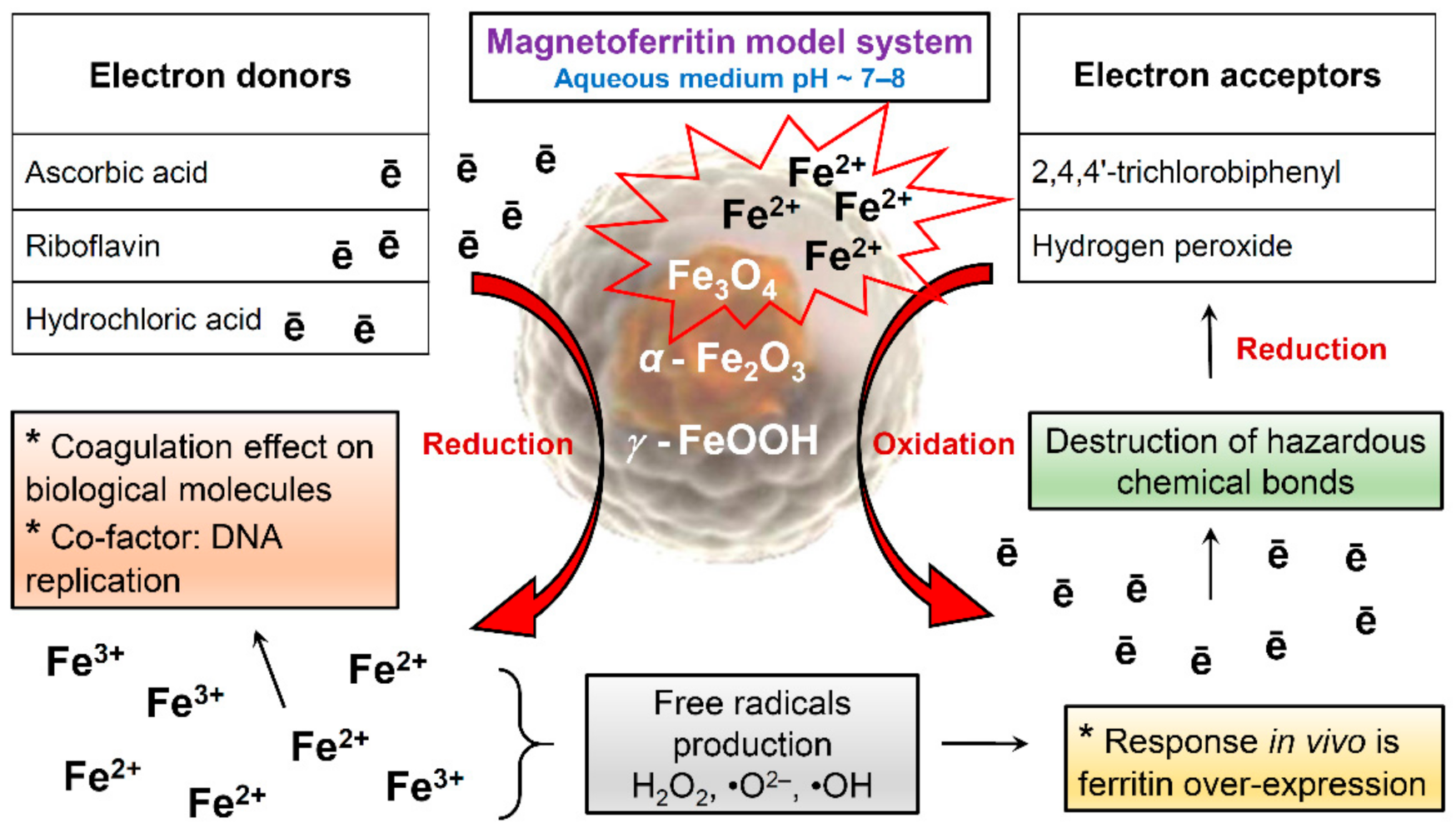 Molecules 26 06960 g008