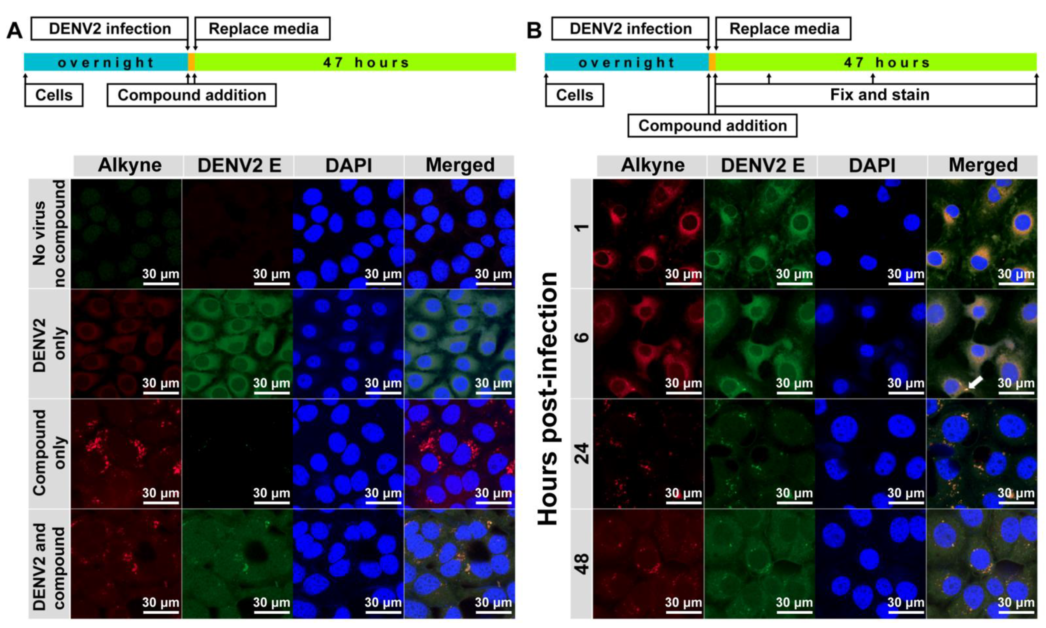 Molecules 26 06967 g003
