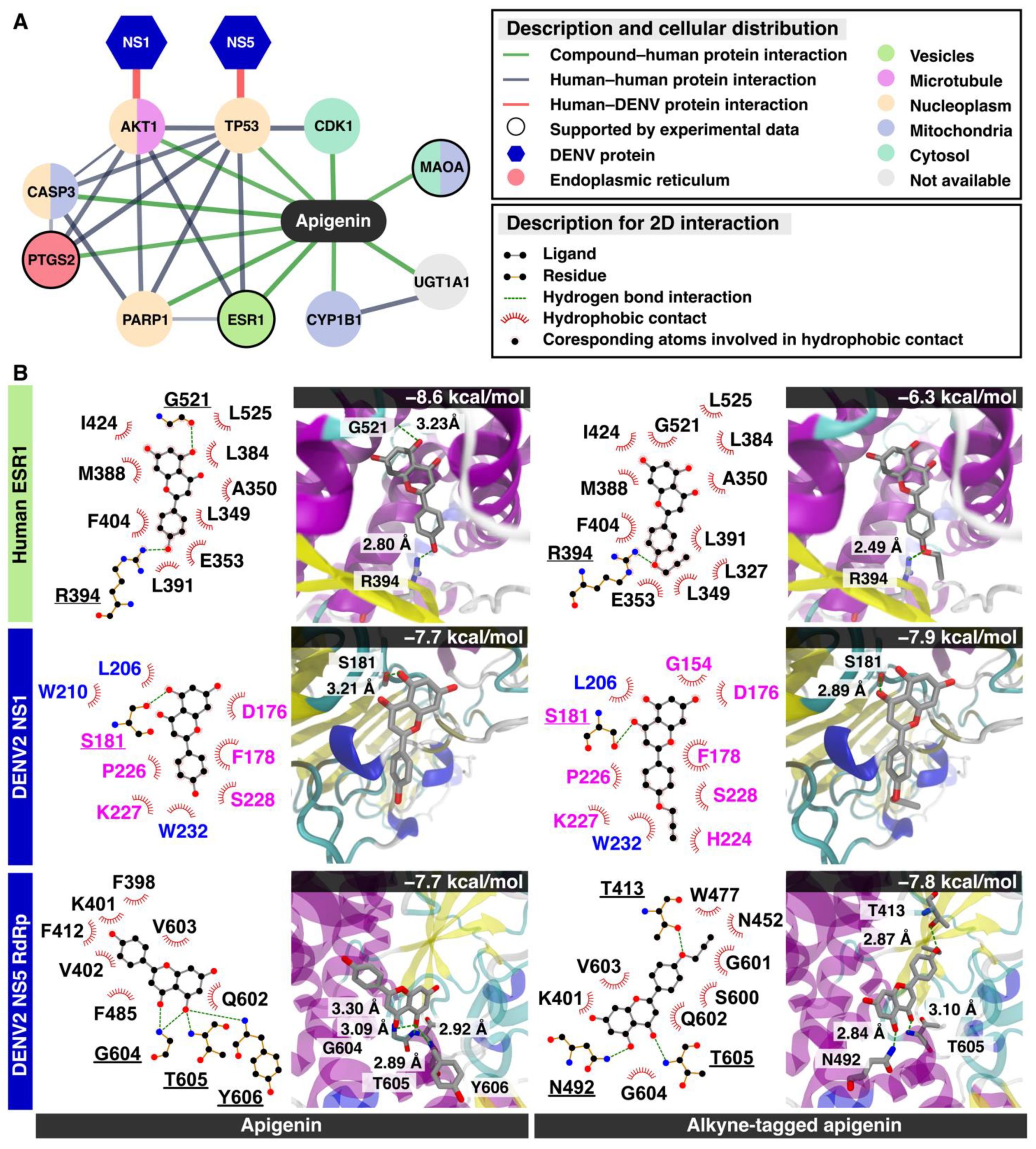 Molecules 26 06967 g005