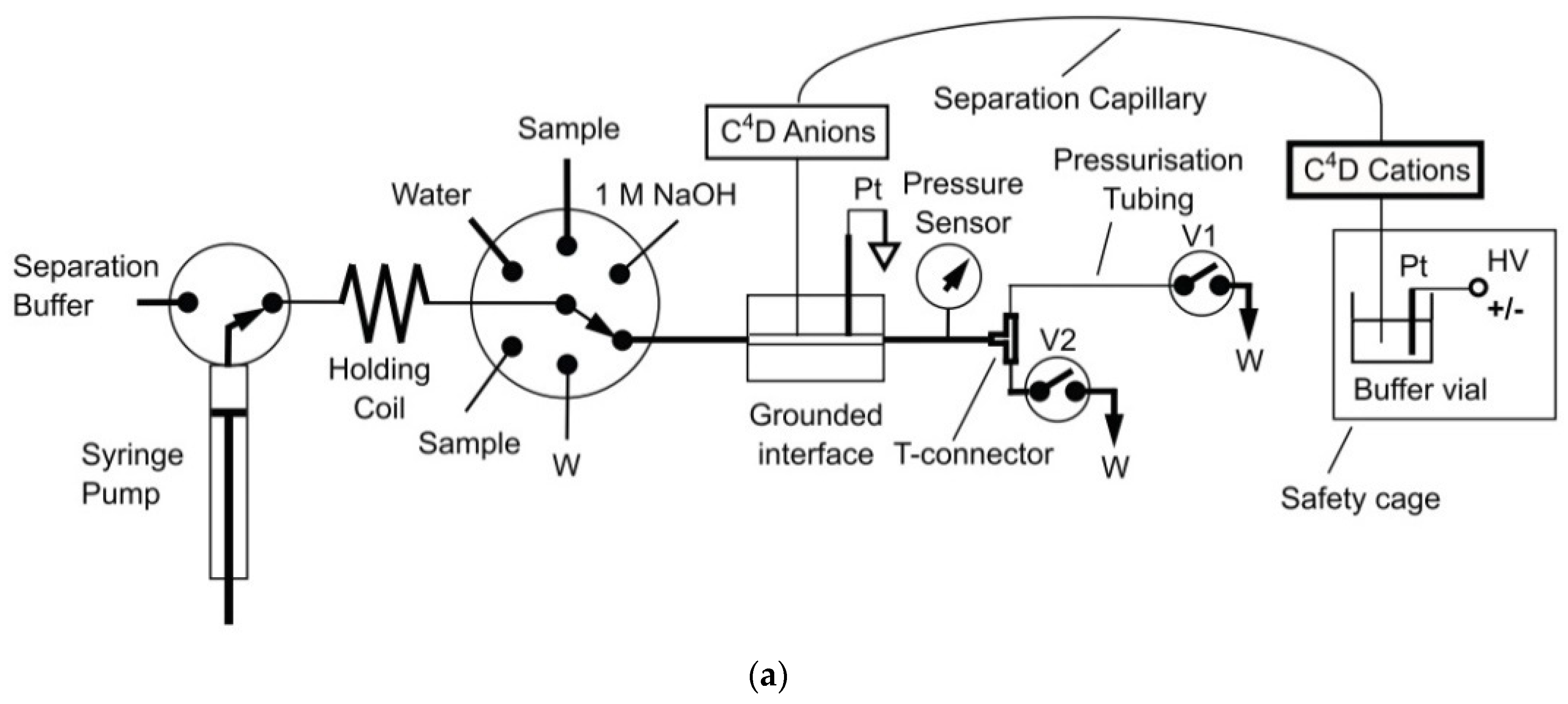 Molecules 26 06972 g005a Molecules 26 06972 g005a