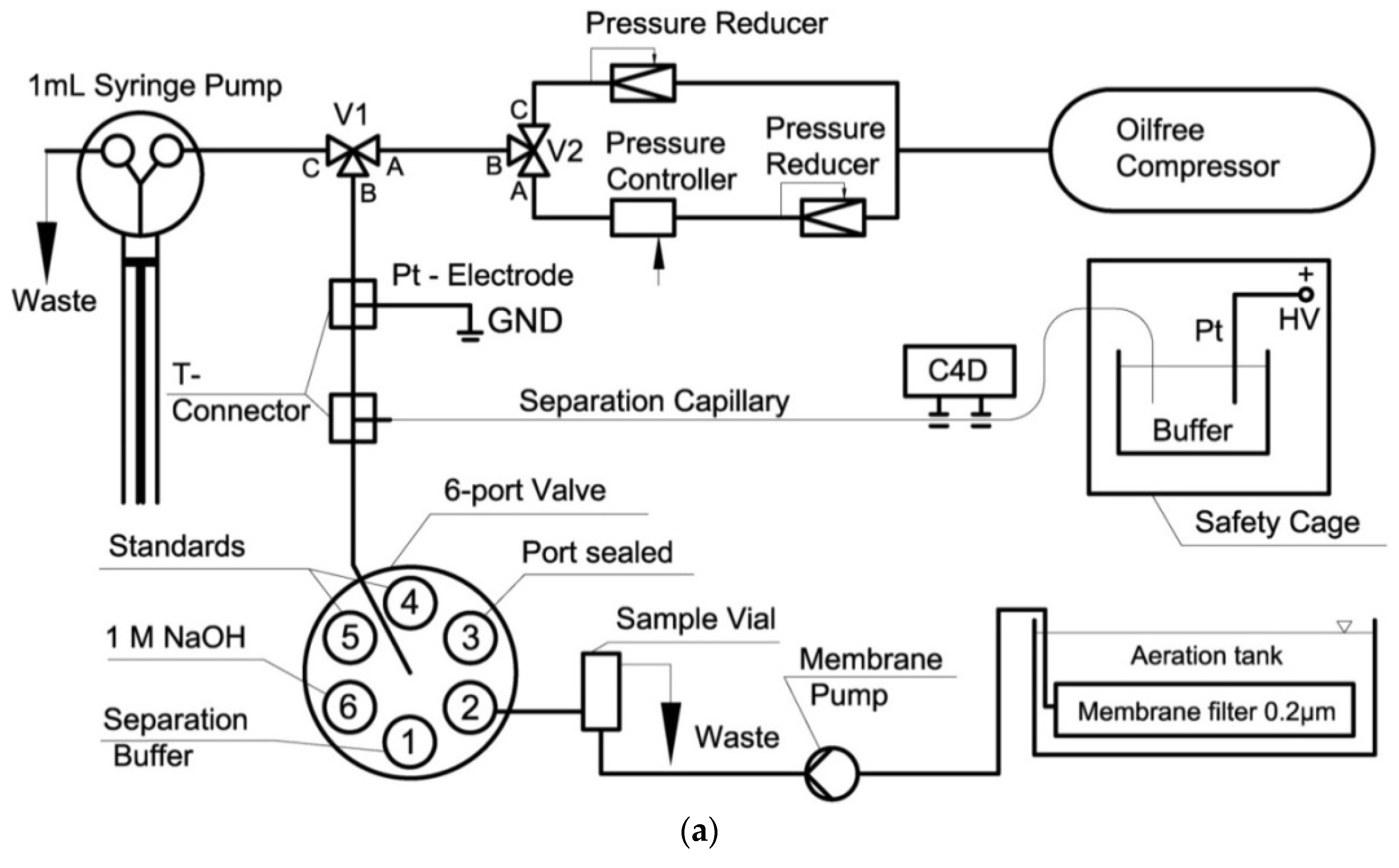 Molecules 26 06972 g006a Molecules 26 06972 g006a