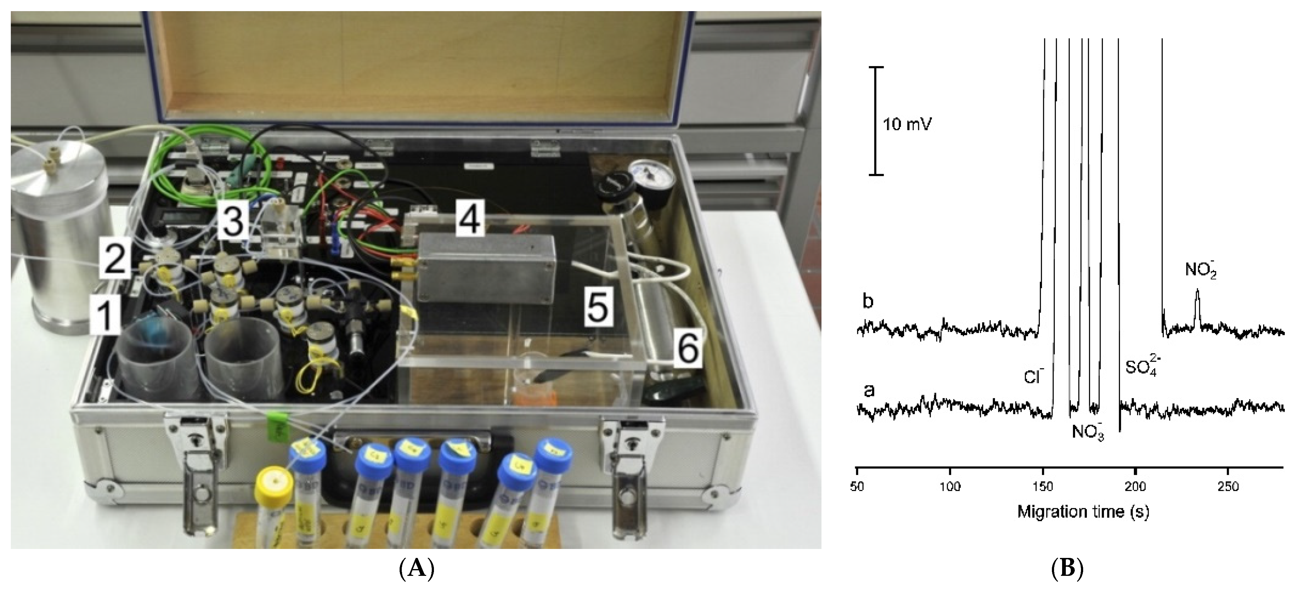 Molecules 26 06972 g010 Molecules 26 06972 g010