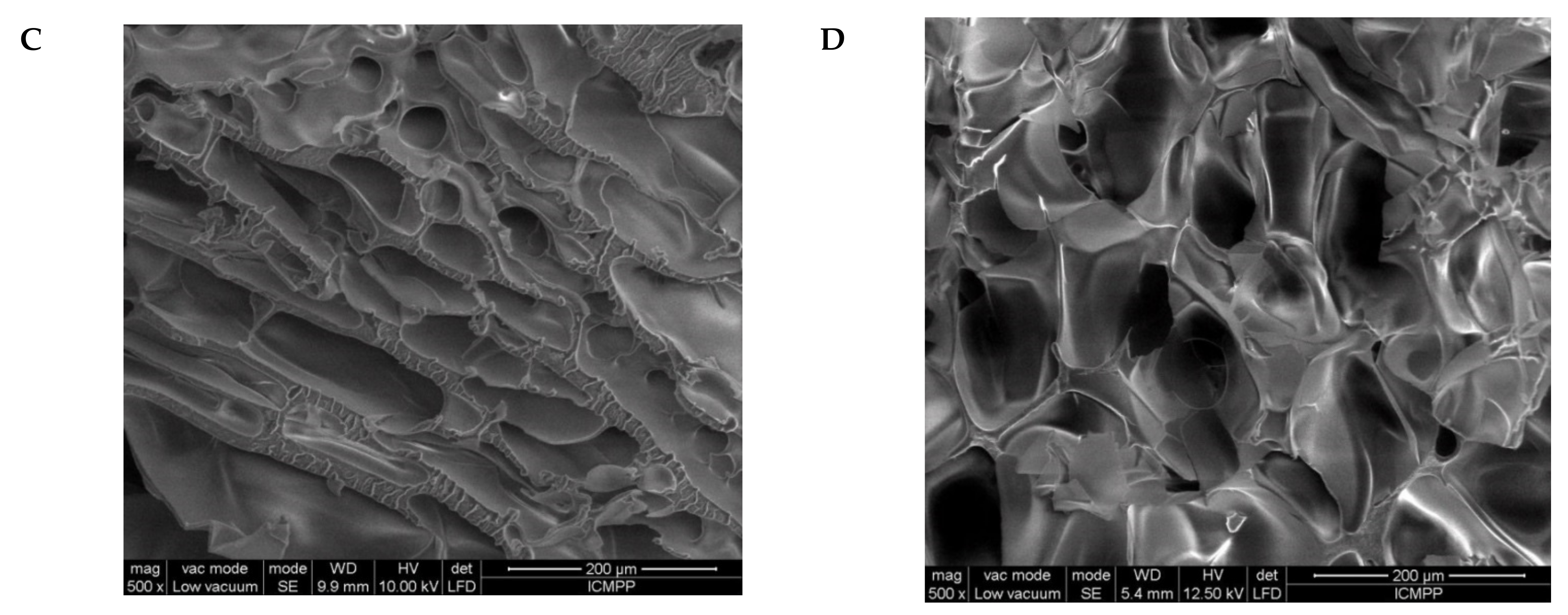Molecules 26 06975 g005b