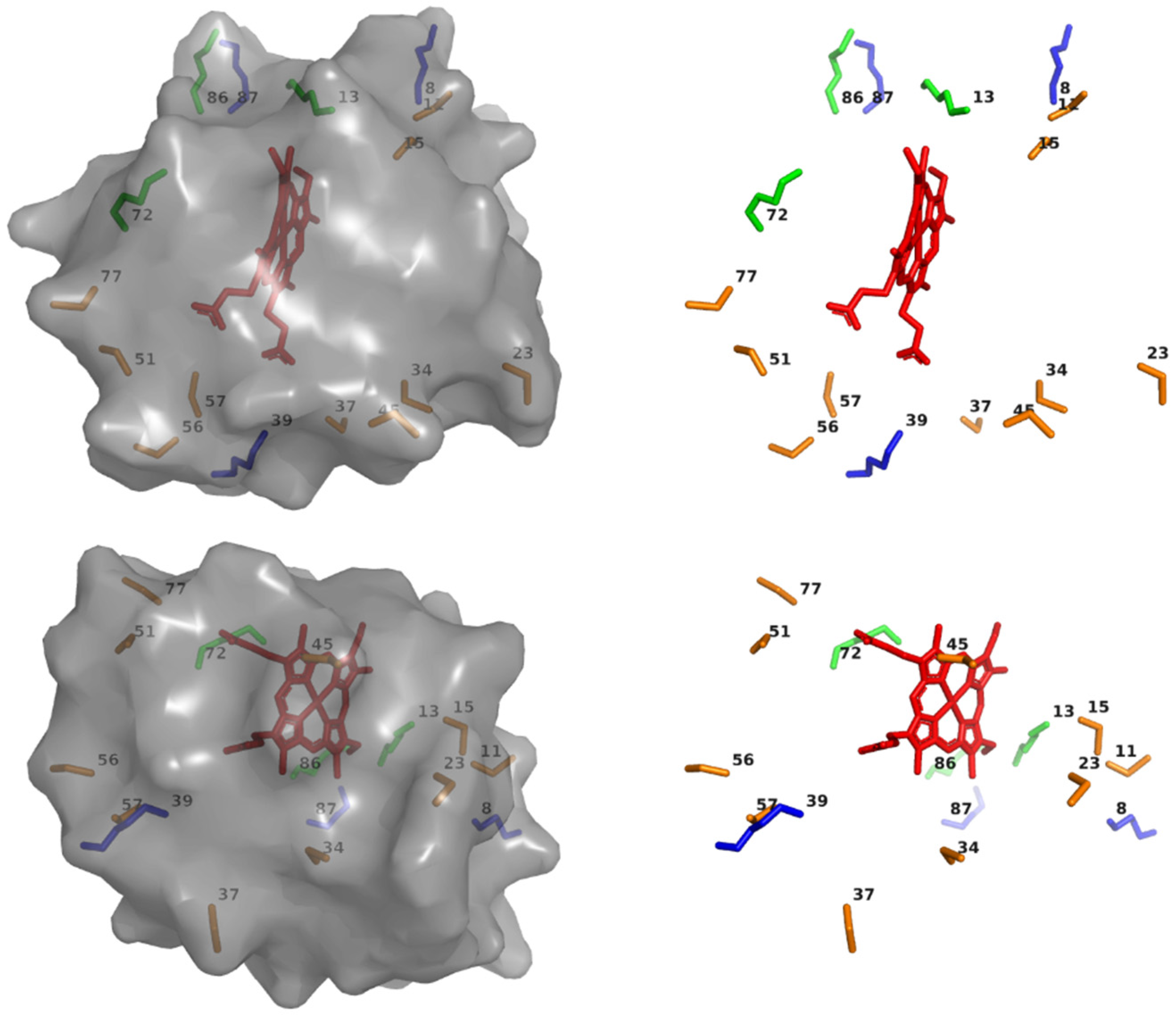 Molecules 26 06976 g001 Molecules 26 06976 g001