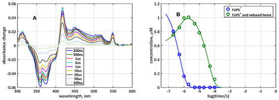 Molecules 26 06976 g003