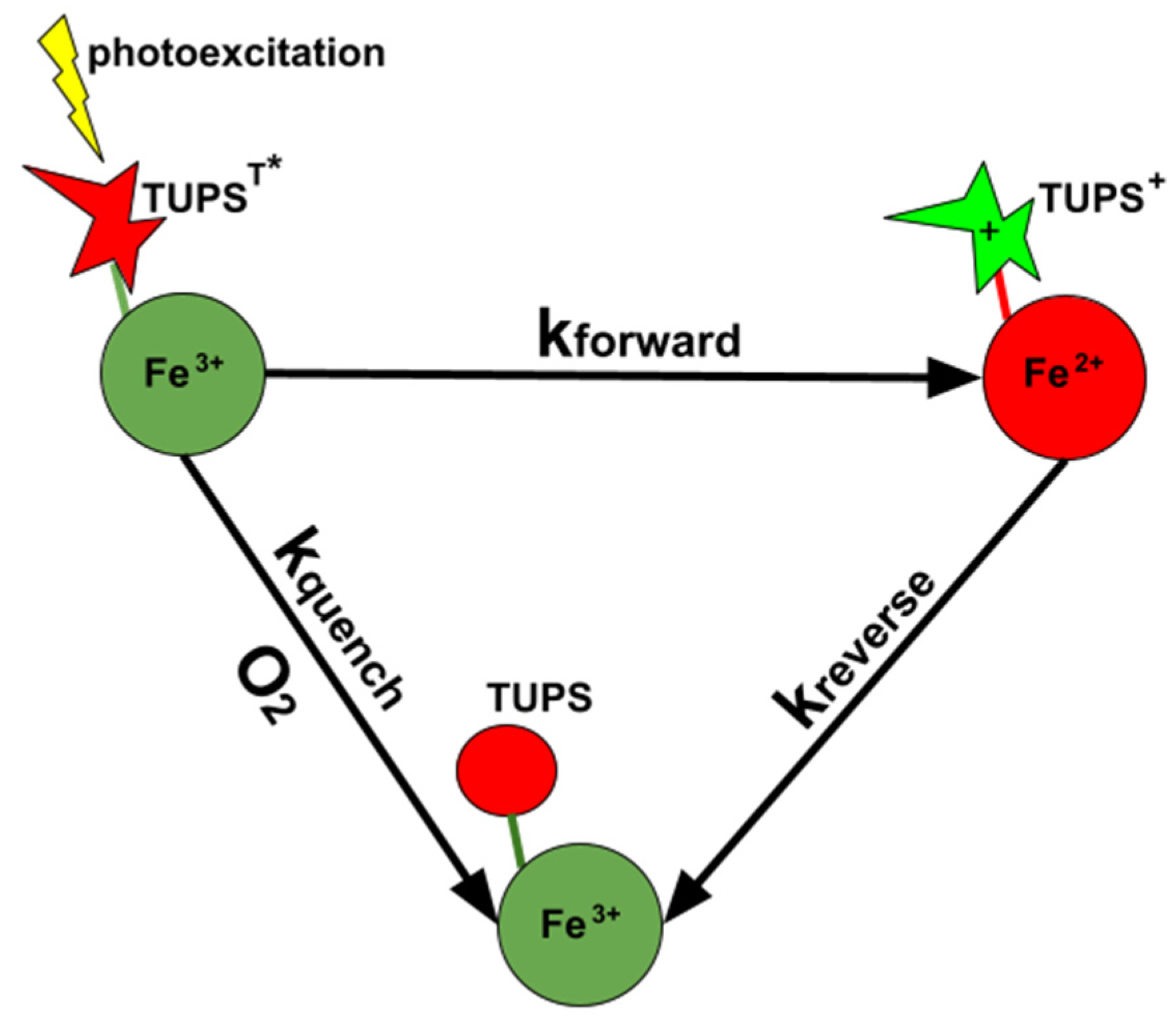 Molecules 26 06976 sch001 Molecules 26 06976 sch001