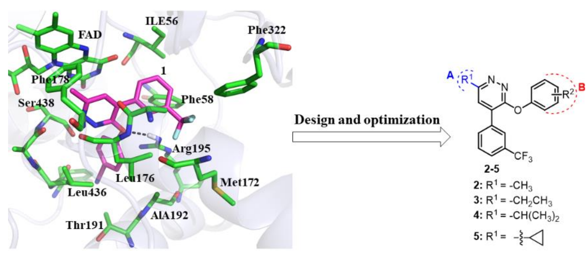 Molecules 26 06979 g002