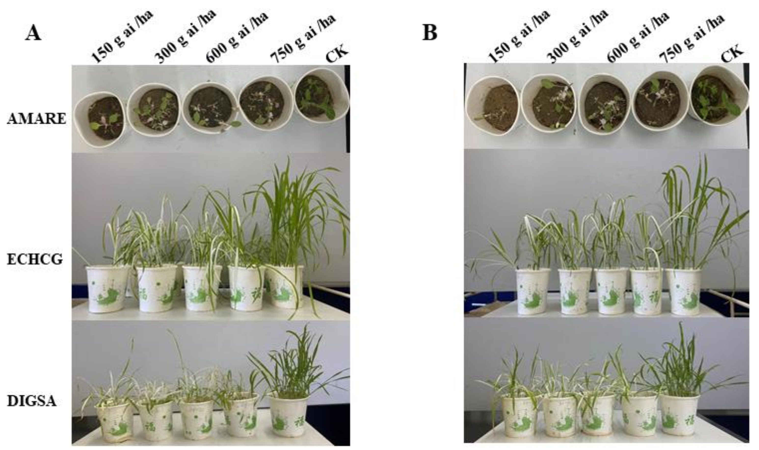 Molecules 26 06979 g003