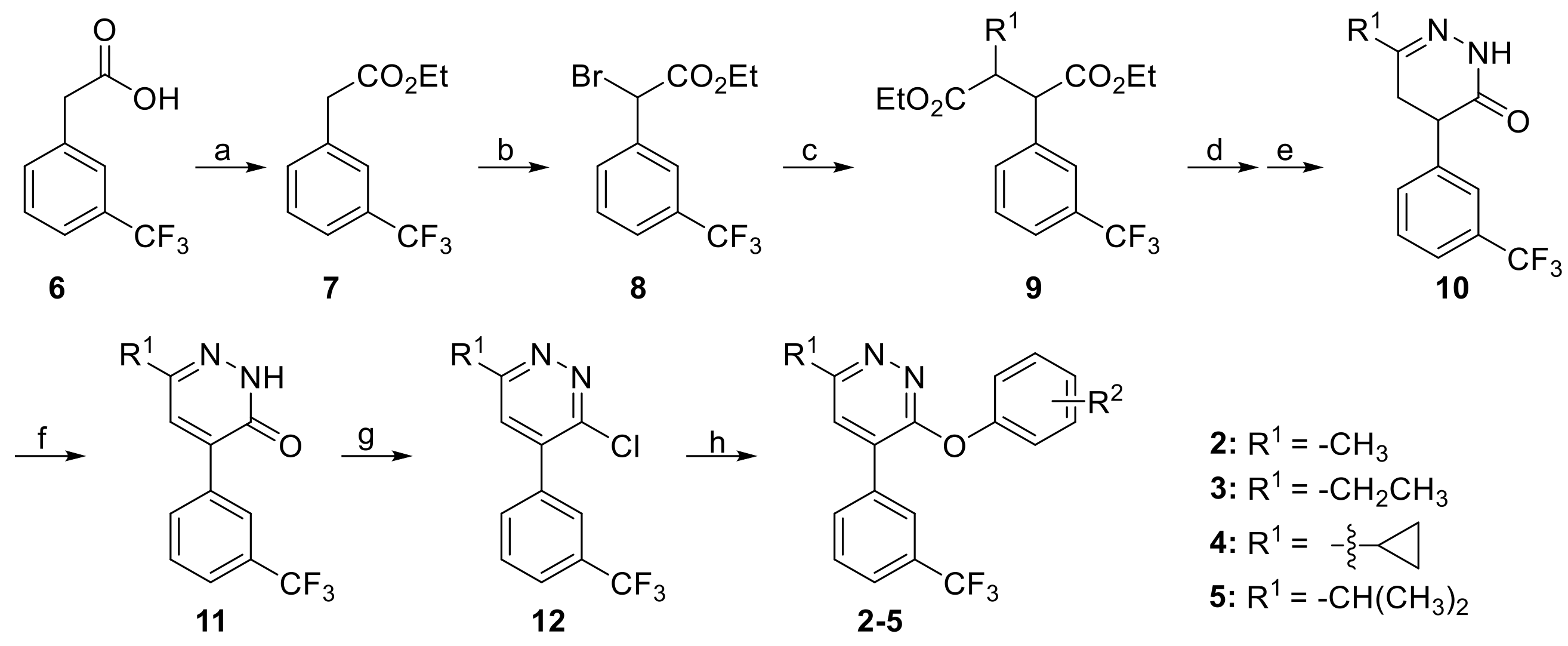 Molecules 26 06979 sch001