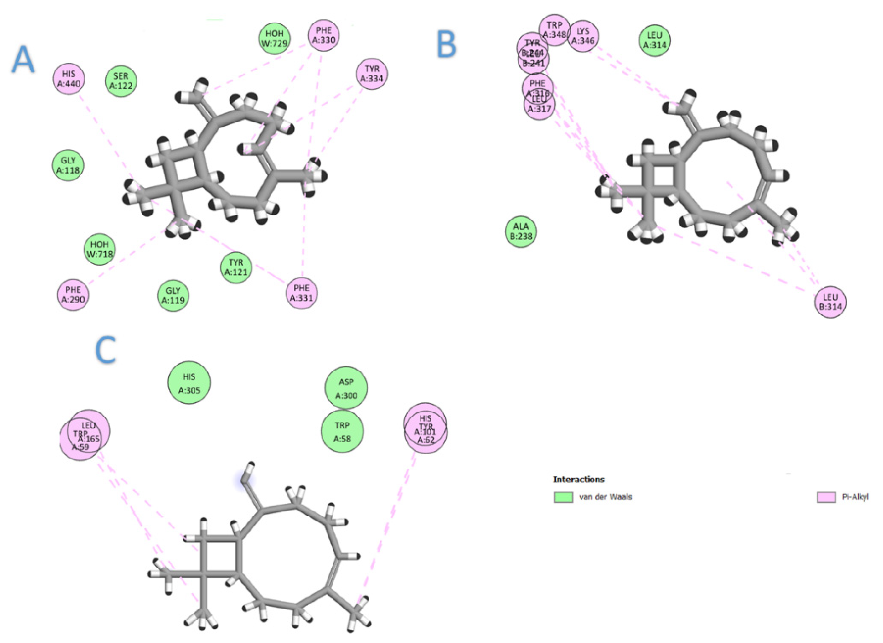 Molecules 26 06984 g002 Molecules 26 06984 g002