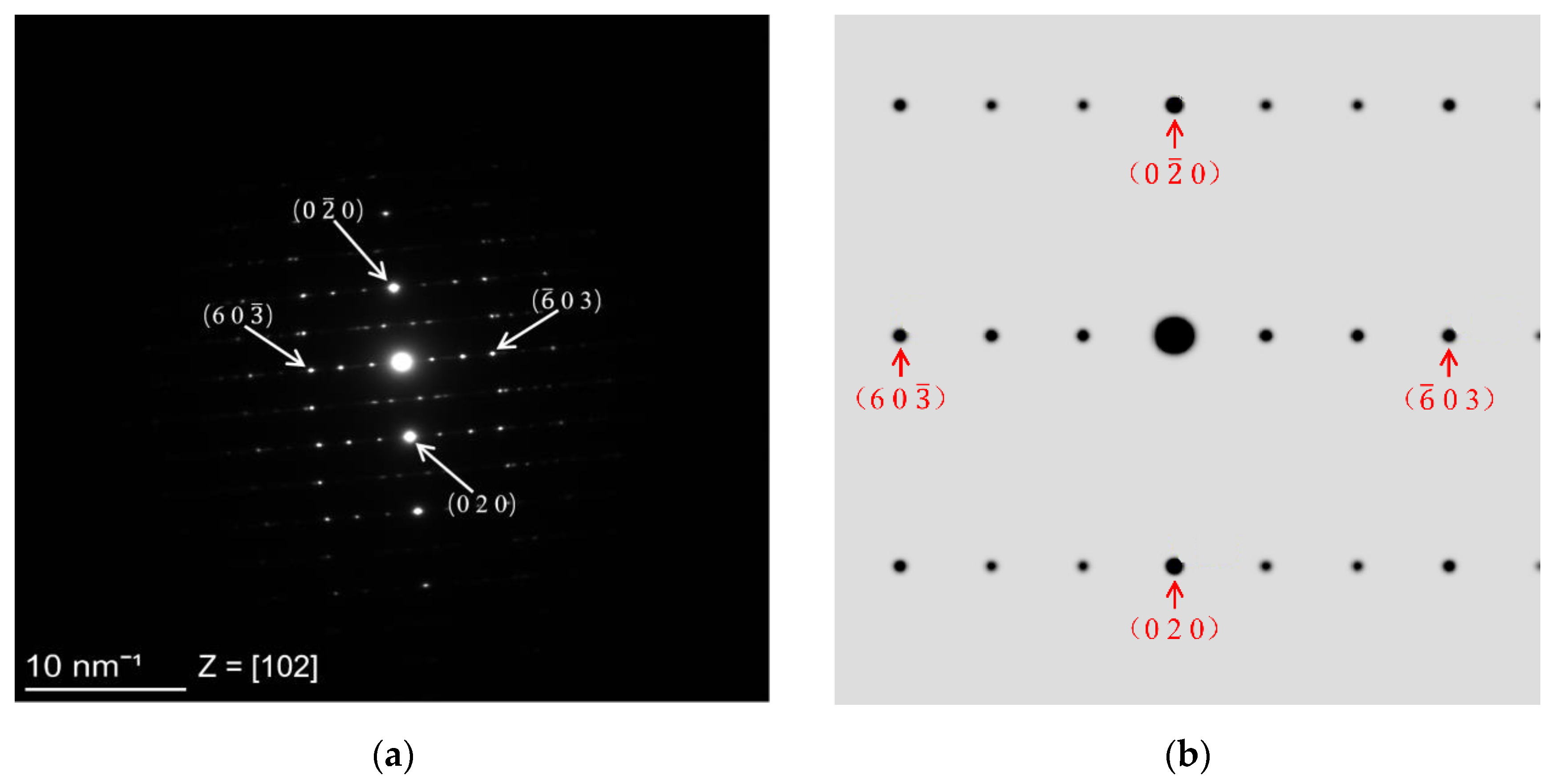 Molecules 26 06987 g002a