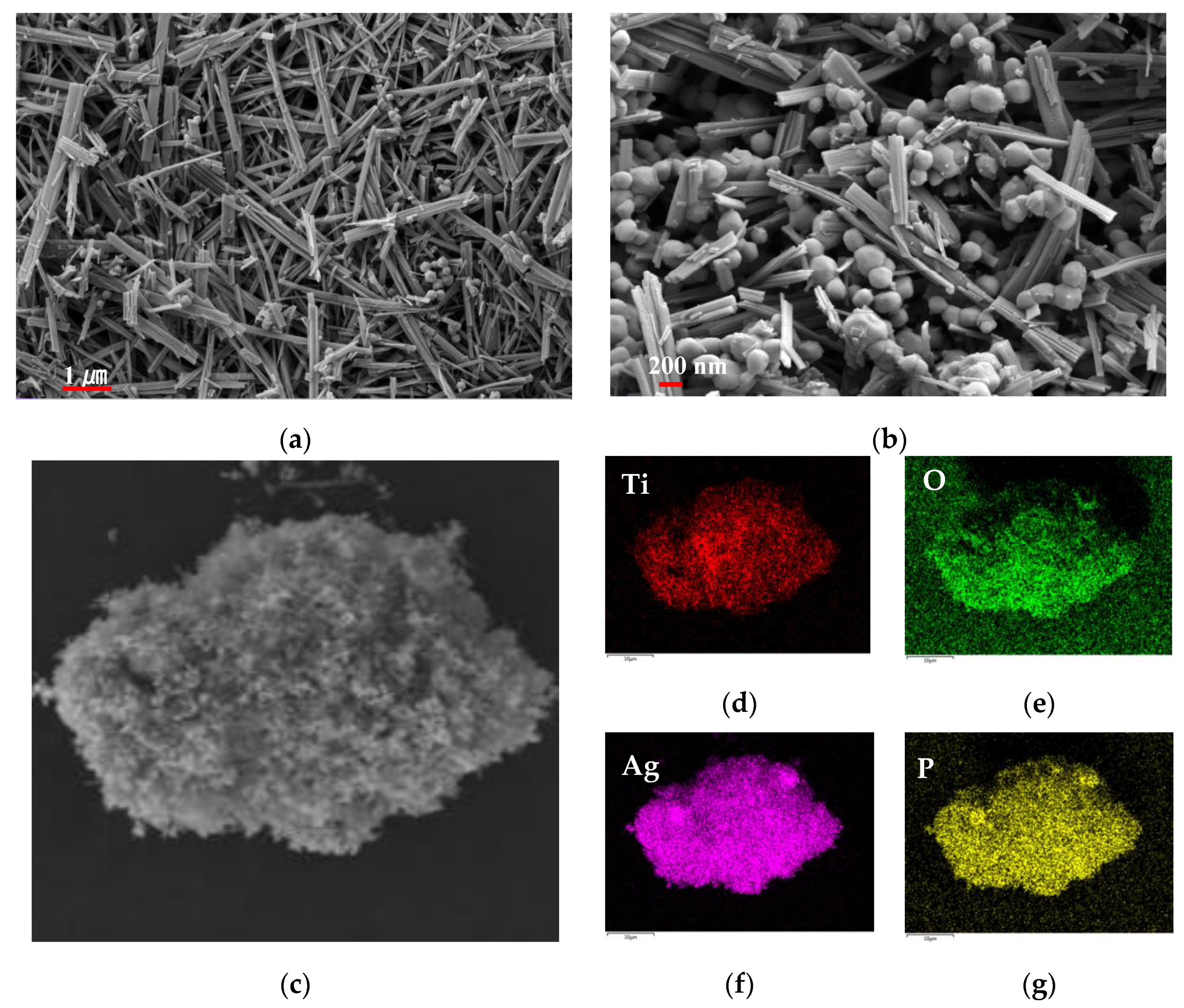 Molecules 26 06987 g004