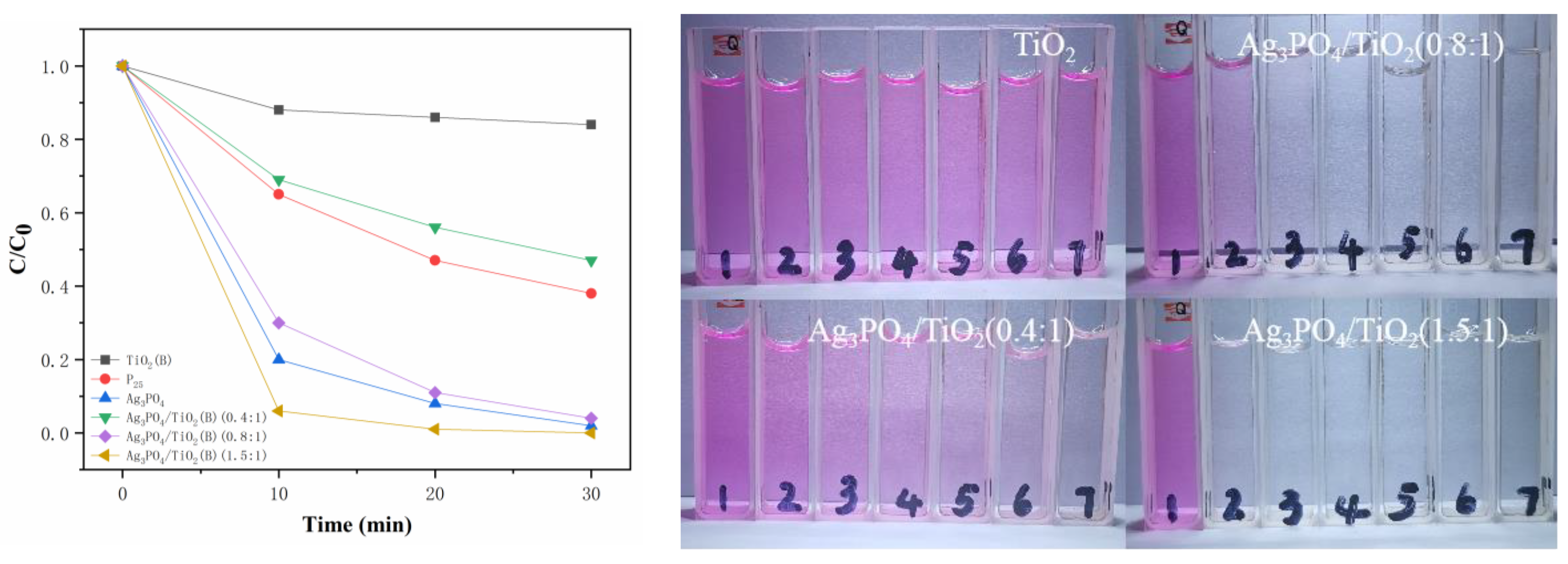 Molecules 26 06987 g005