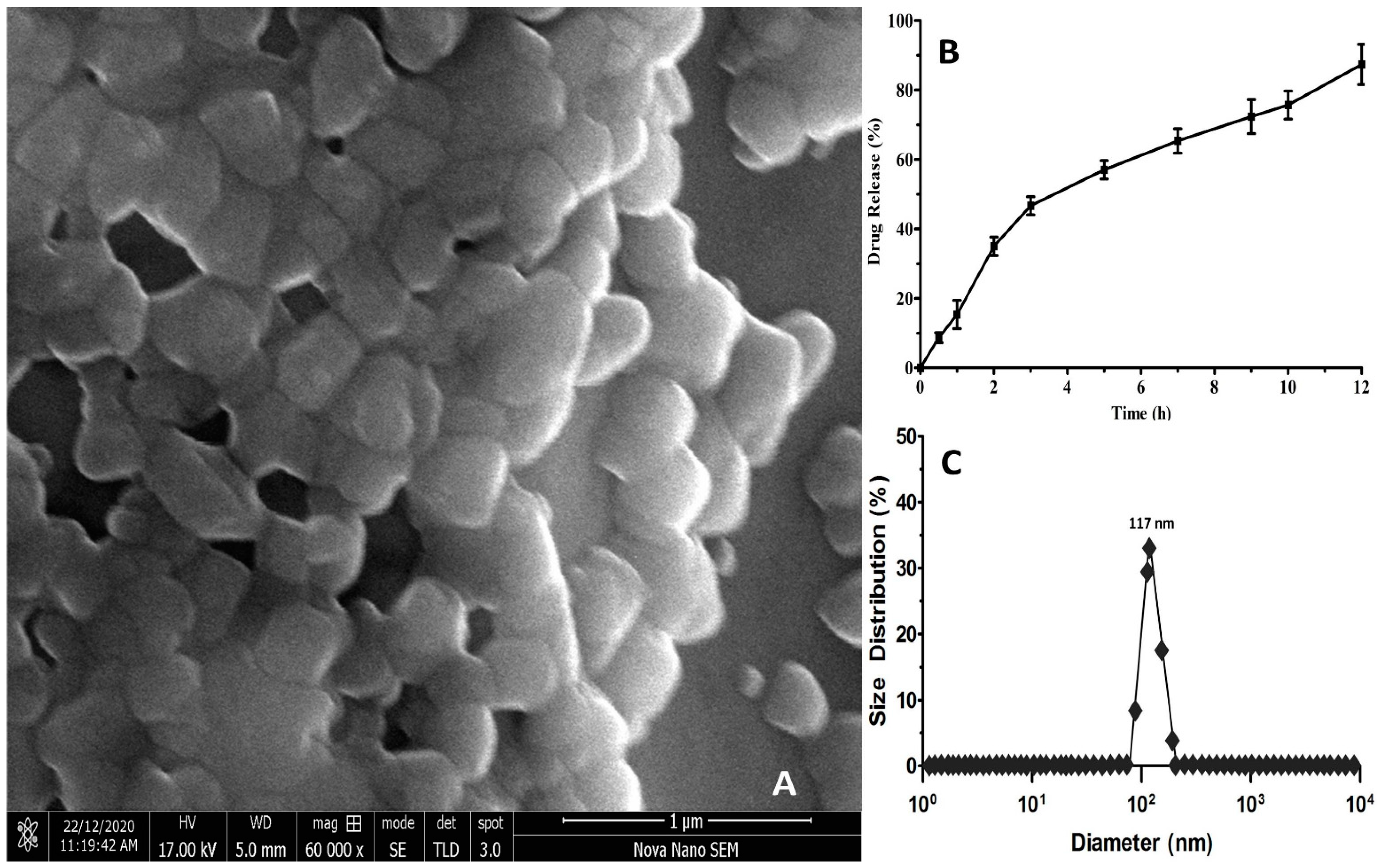 Molecules 26 06990 g002