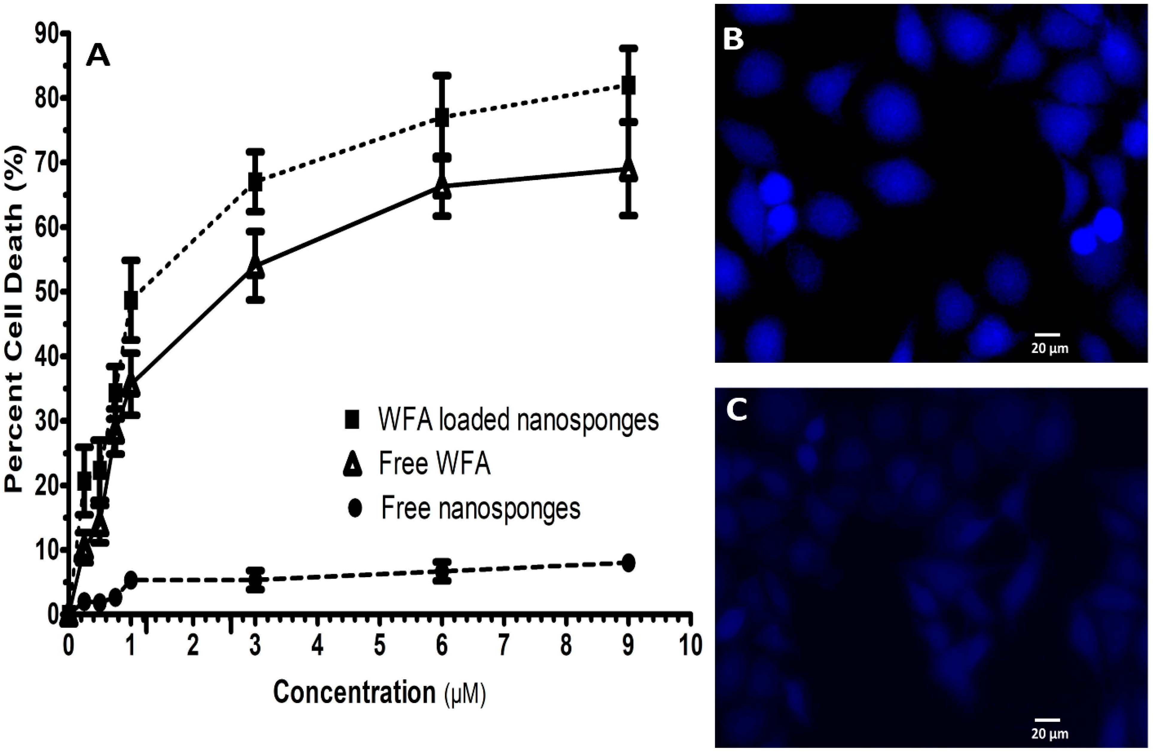 Molecules 26 06990 g003