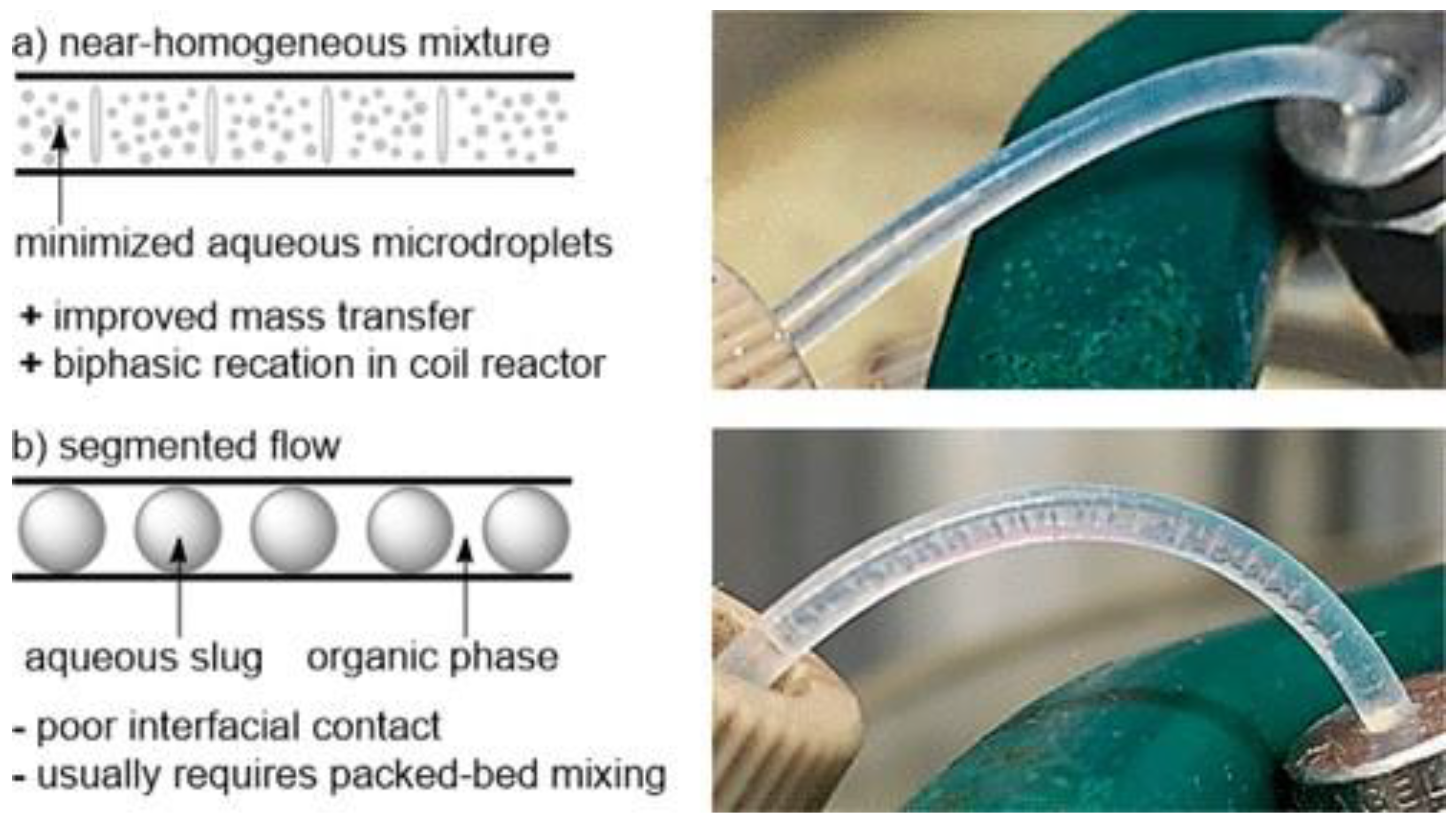 Molecules 26 06992 g003