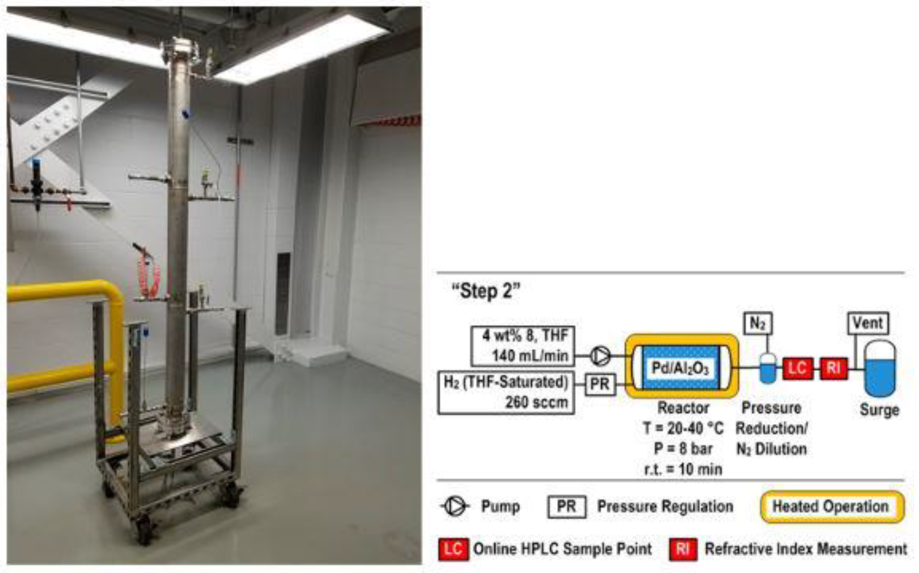 Molecules 26 06992 g006
