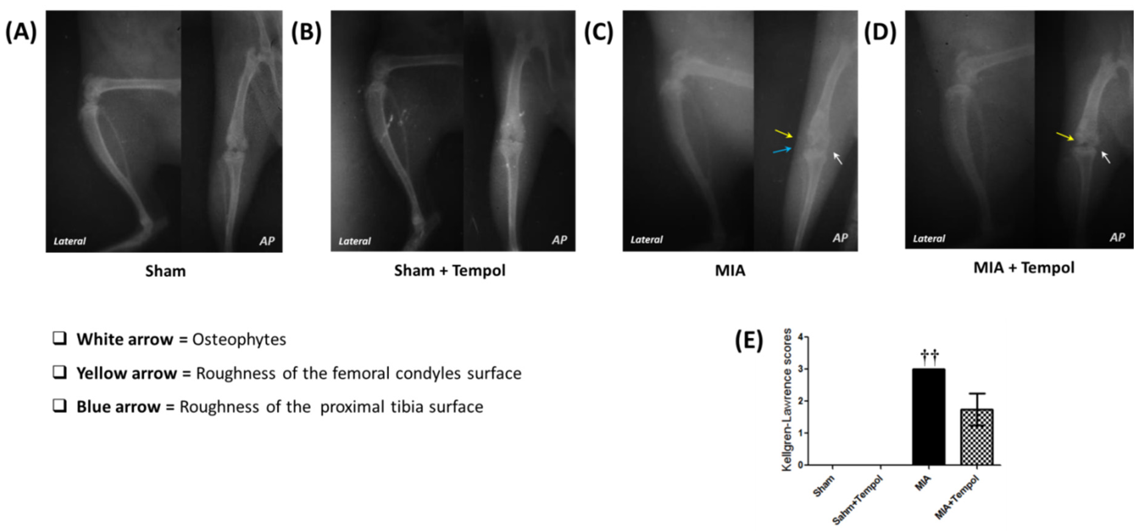 Molecules 26 06993 g007