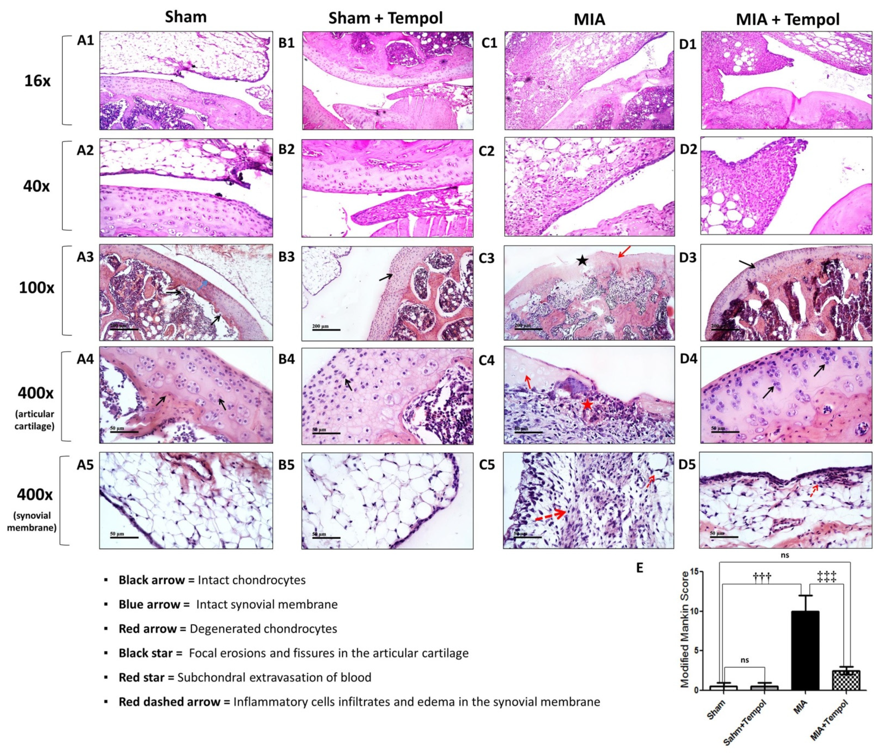Molecules 26 06993 g008