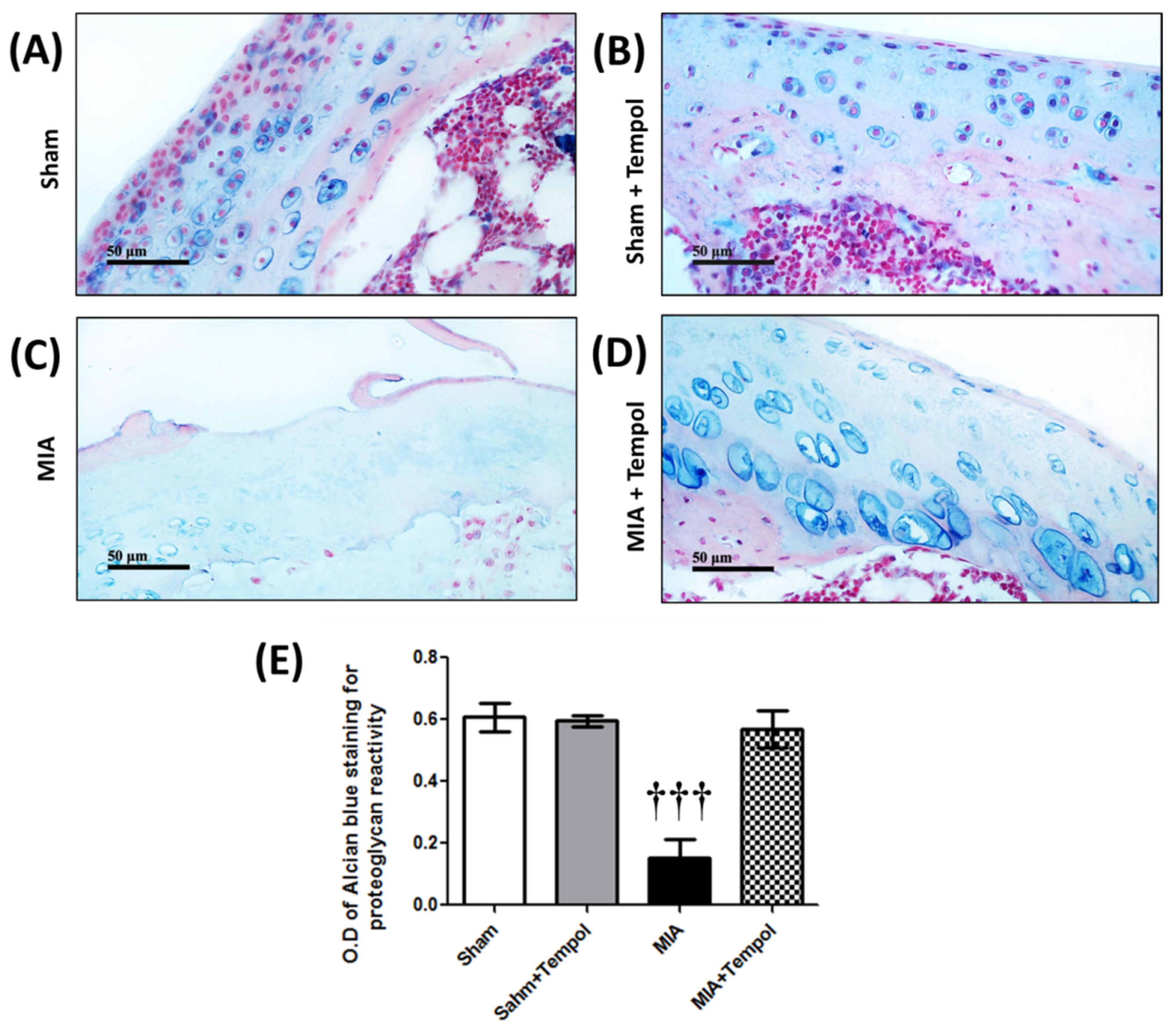 Molecules 26 06993 g009