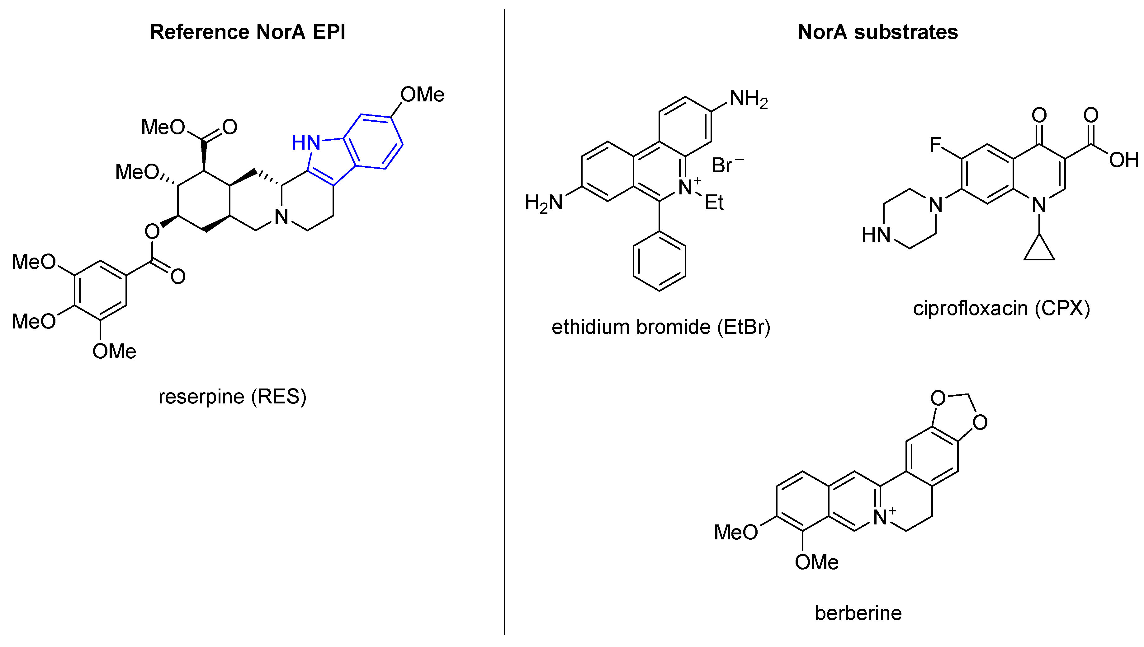 Molecules 26 06996 g001