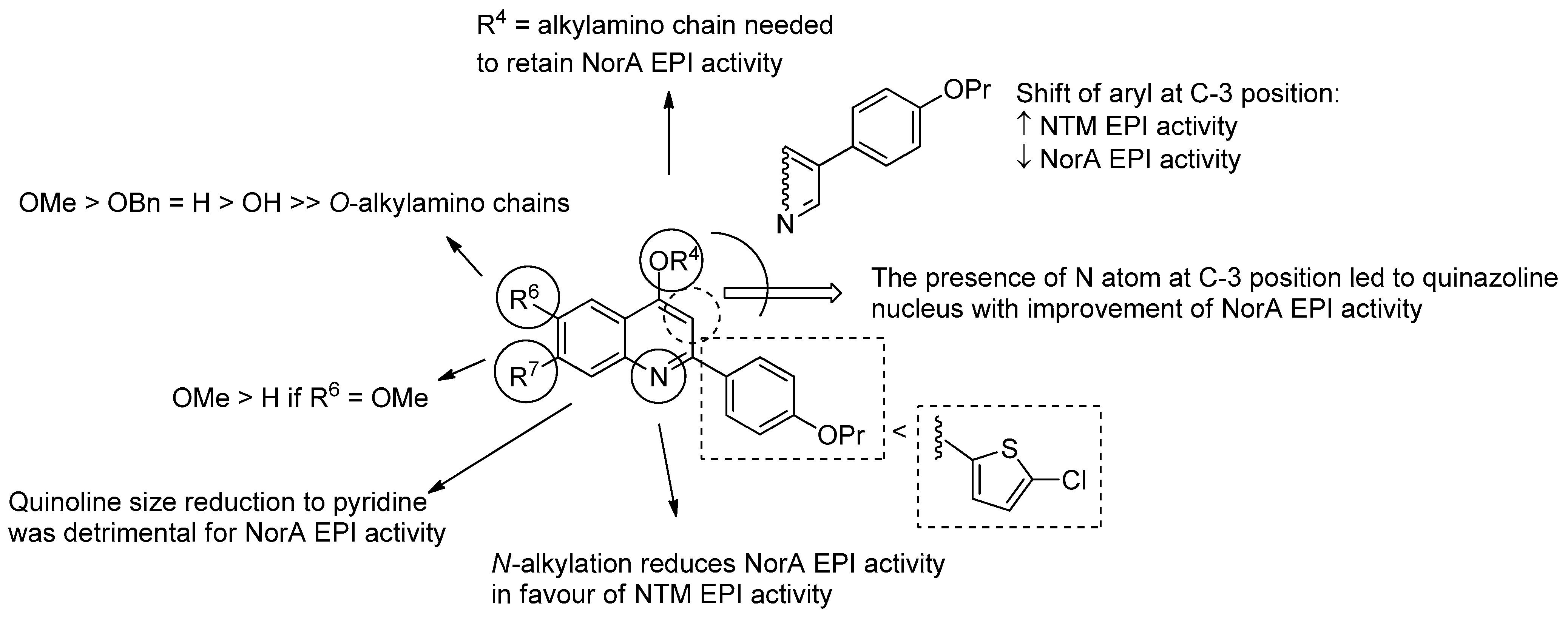 Molecules 26 06996 g010