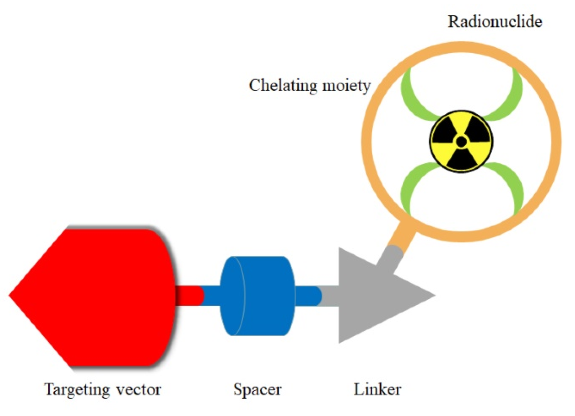 Molecules 26 06997 g001