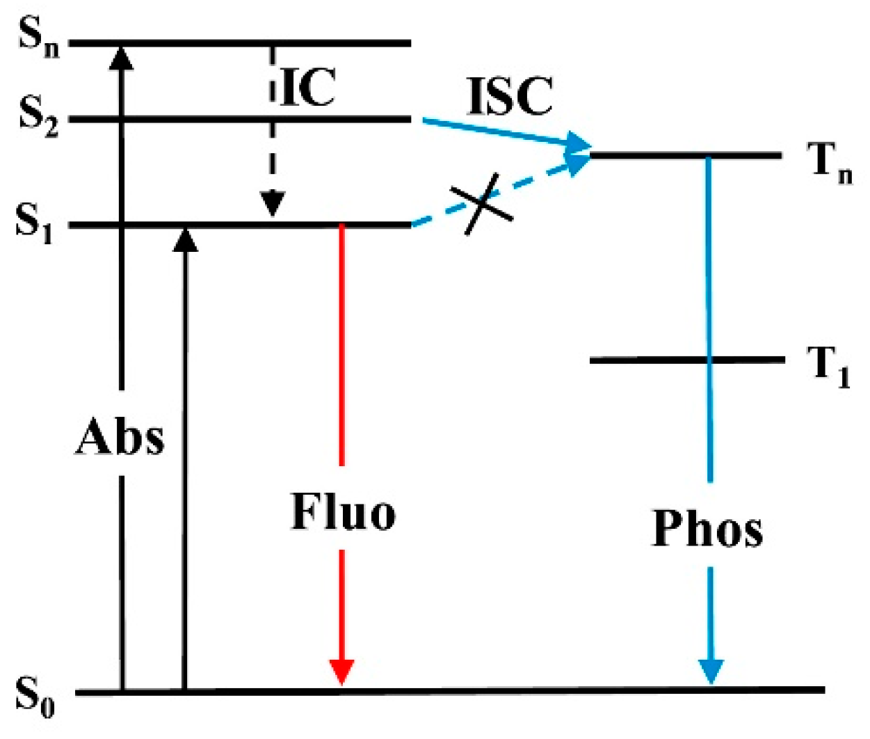 Molecules 26 06999 g016