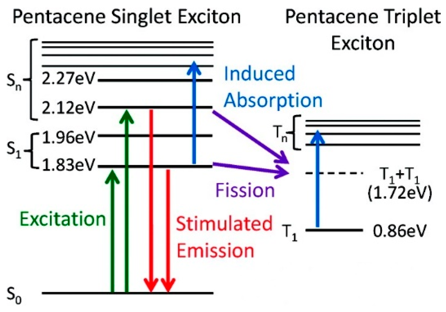 Molecules 26 06999 g017