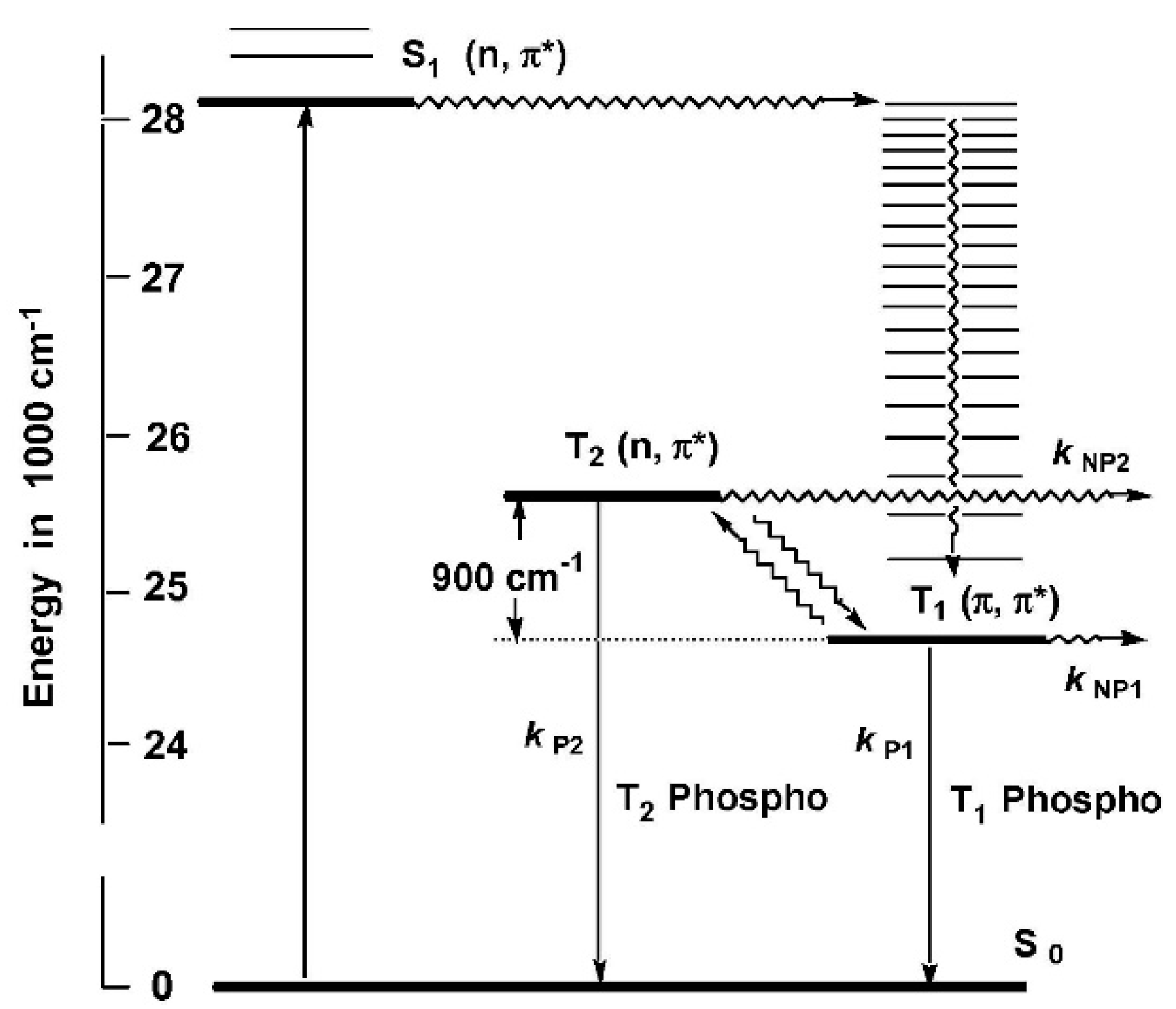 Molecules 26 06999 g018