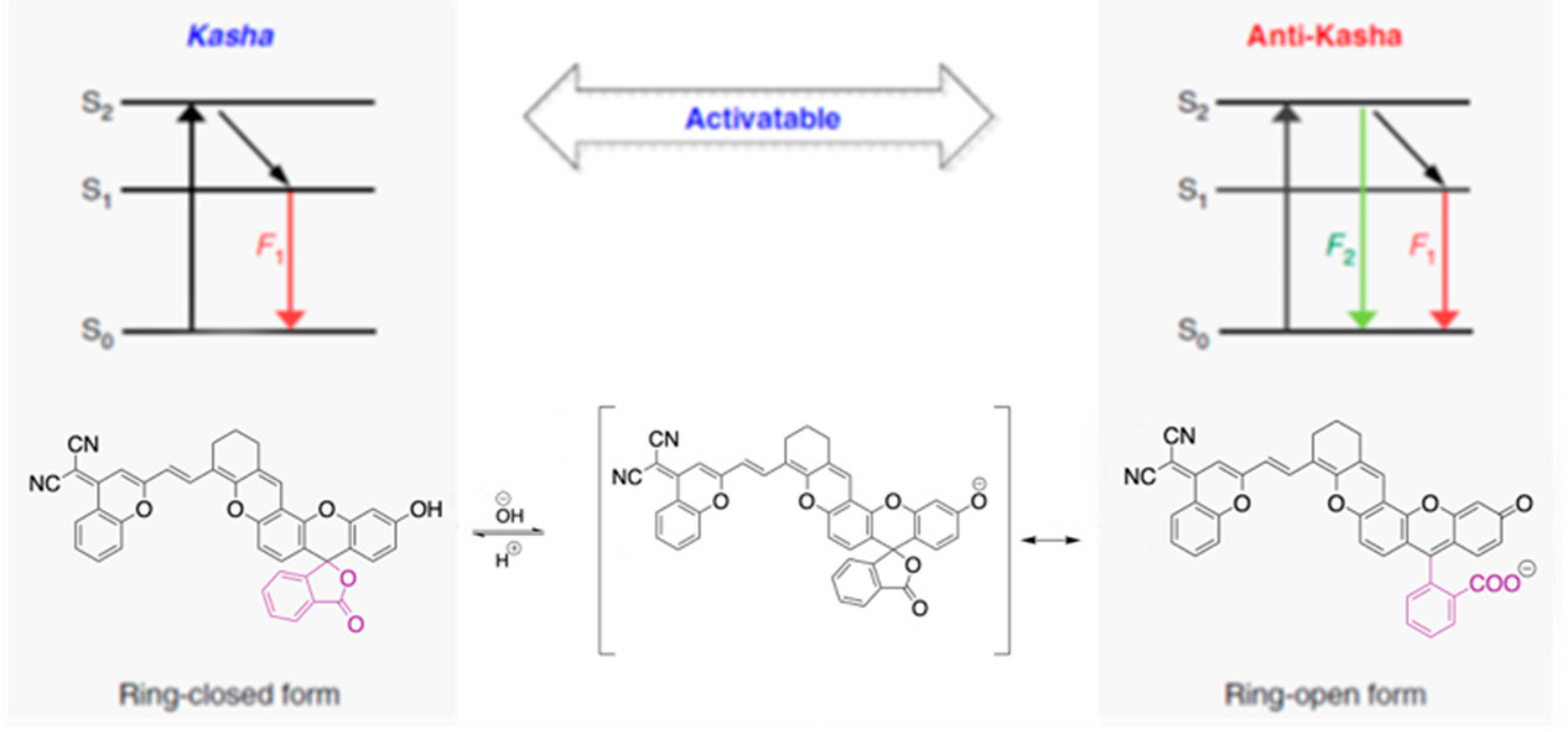 Molecules 26 06999 g024
