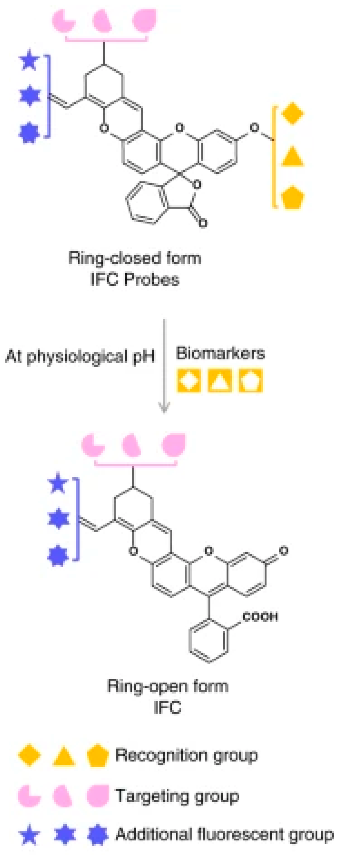 Molecules 26 06999 g025