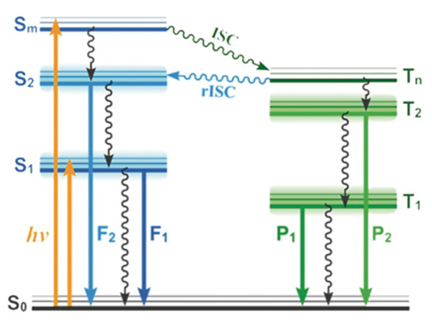 Molecules 26 06999 g027