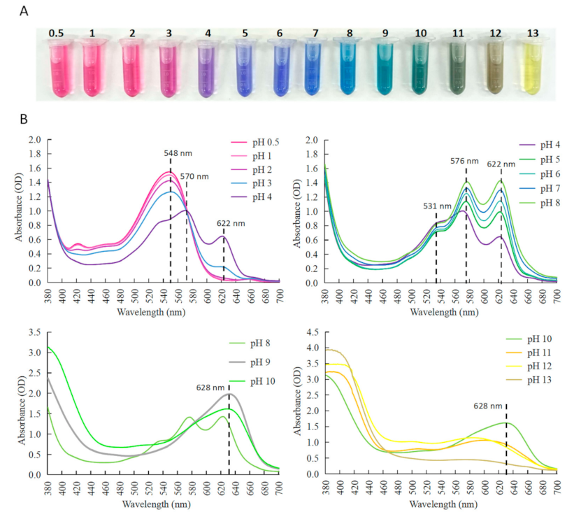 Molecules 26 07000 g002