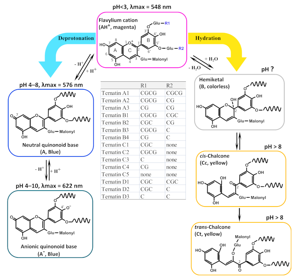 Molecules 26 07000 g003