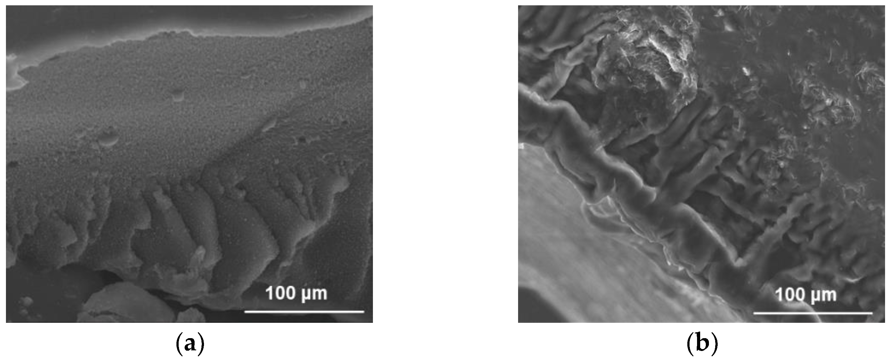 Molecules 26 07001 g001 Molecules 26 07001 g001