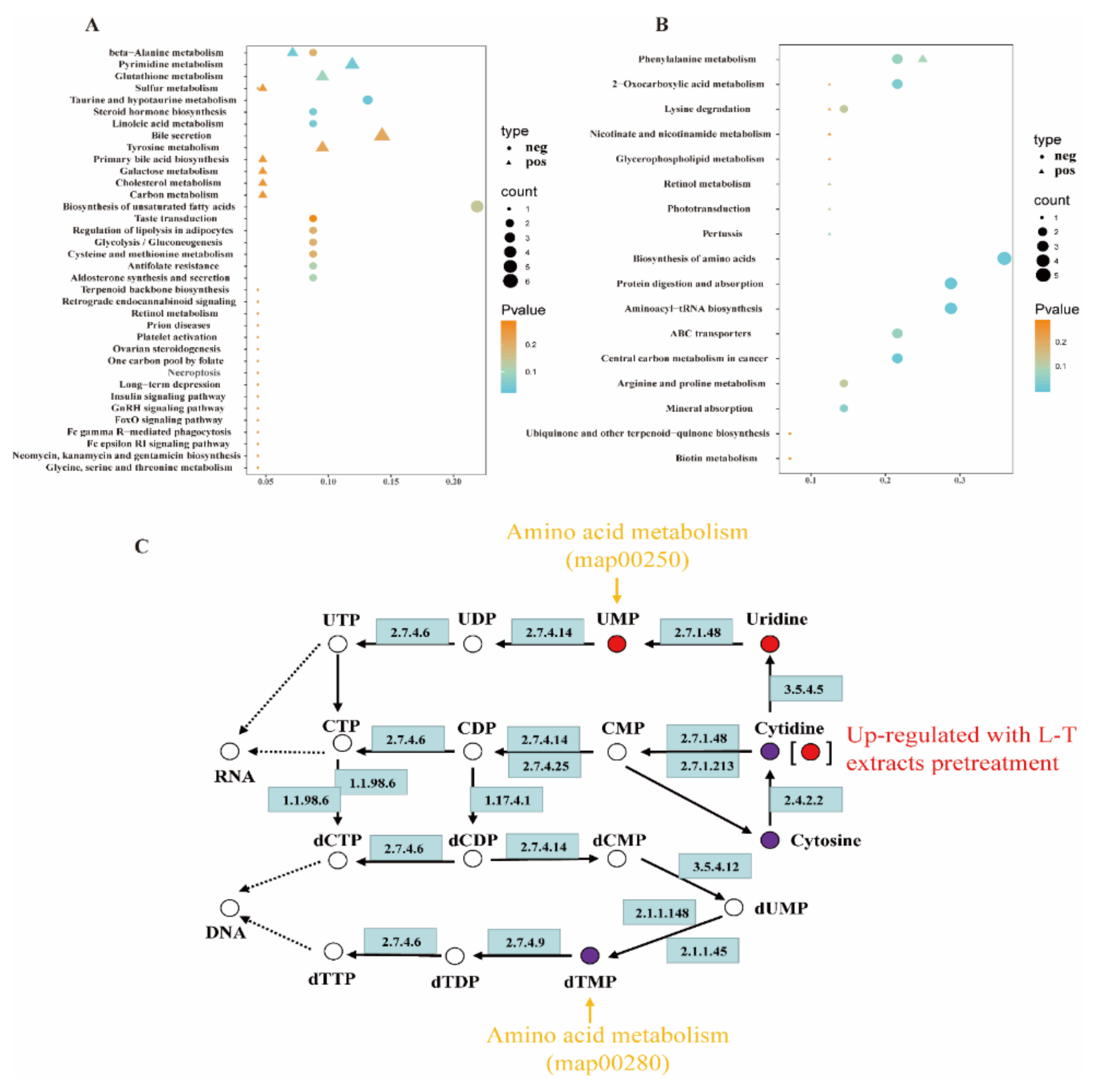 Molecules 26 07002 g004