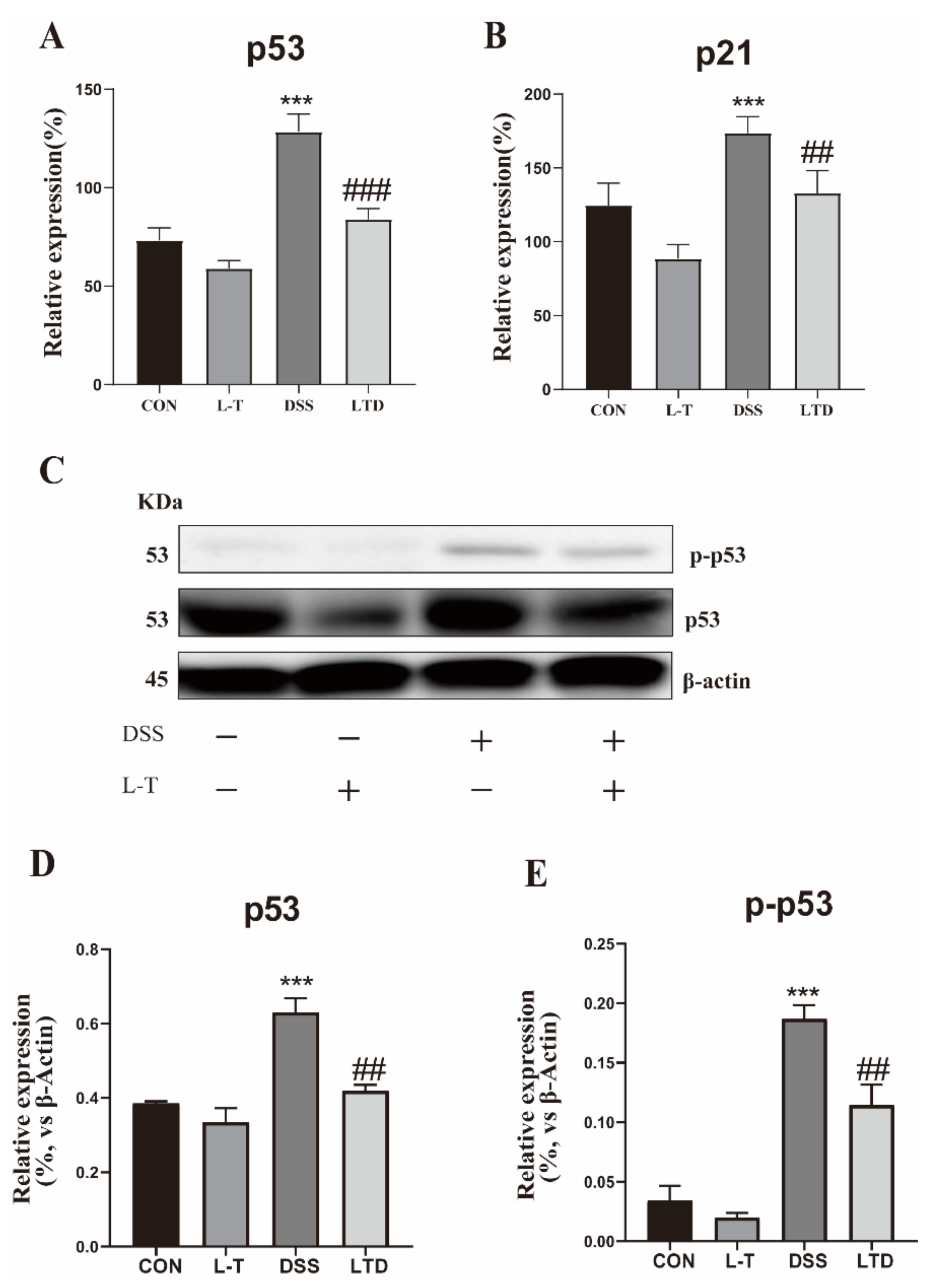 Molecules 26 07002 g006