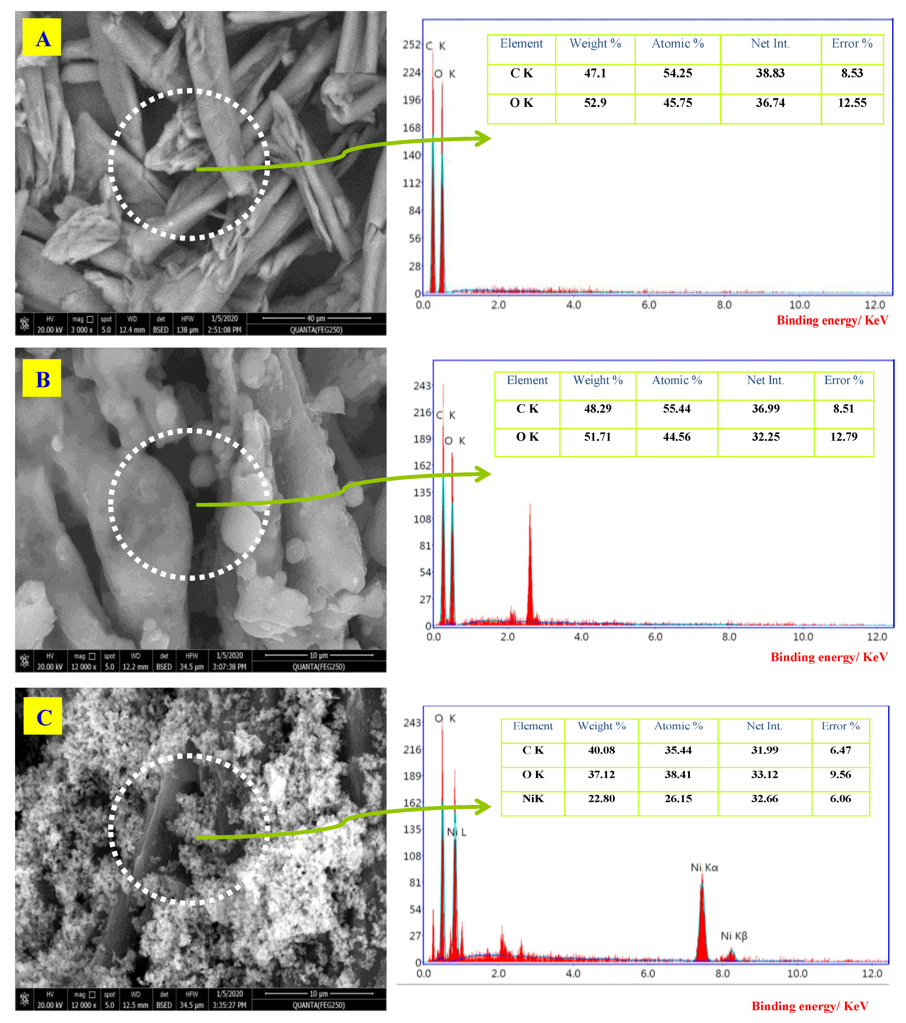 Molecules 26 07006 g003a