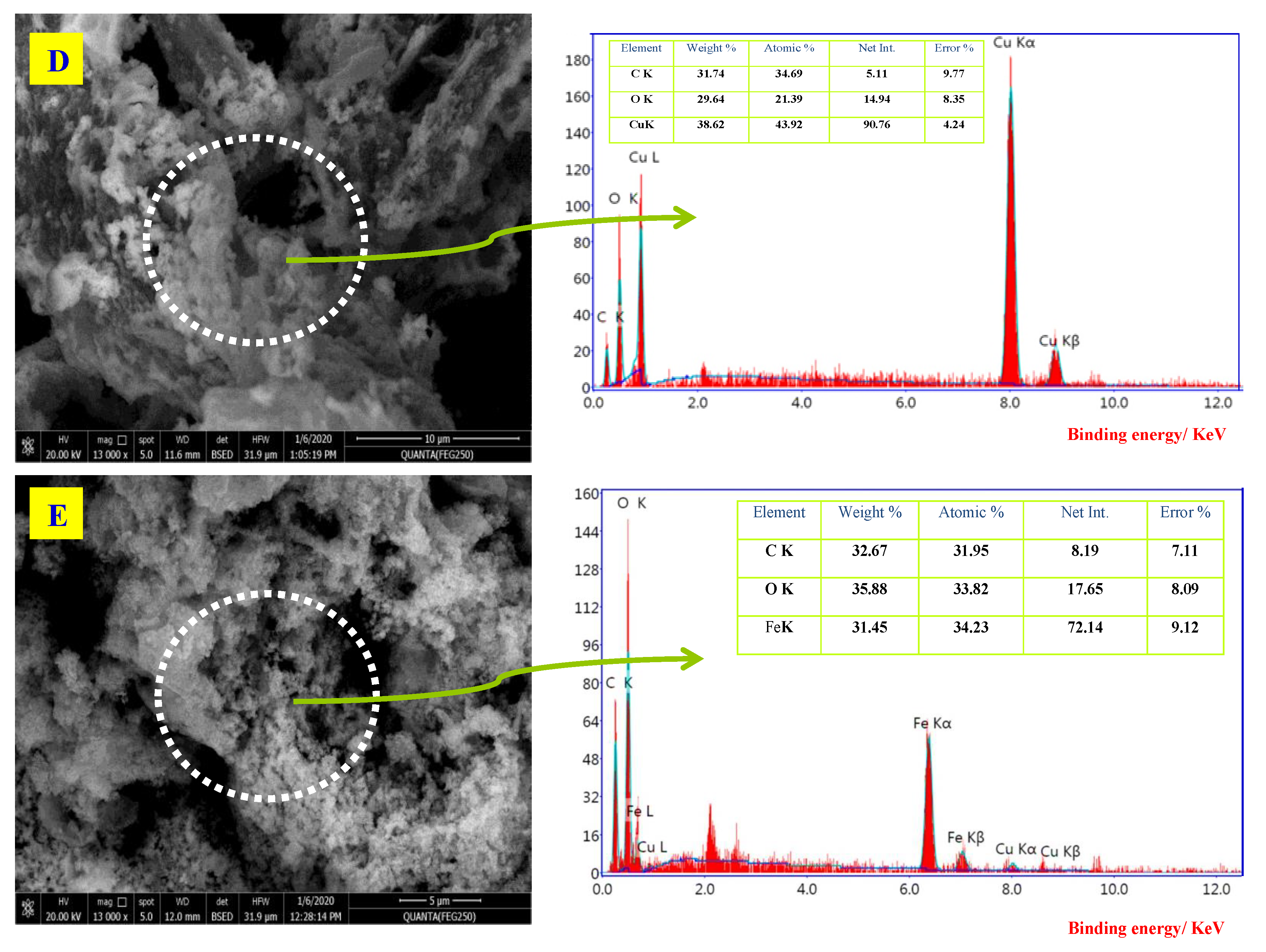 Molecules 26 07006 g003b